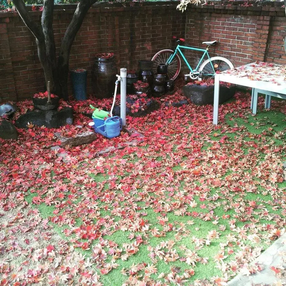 Garden in Hans House