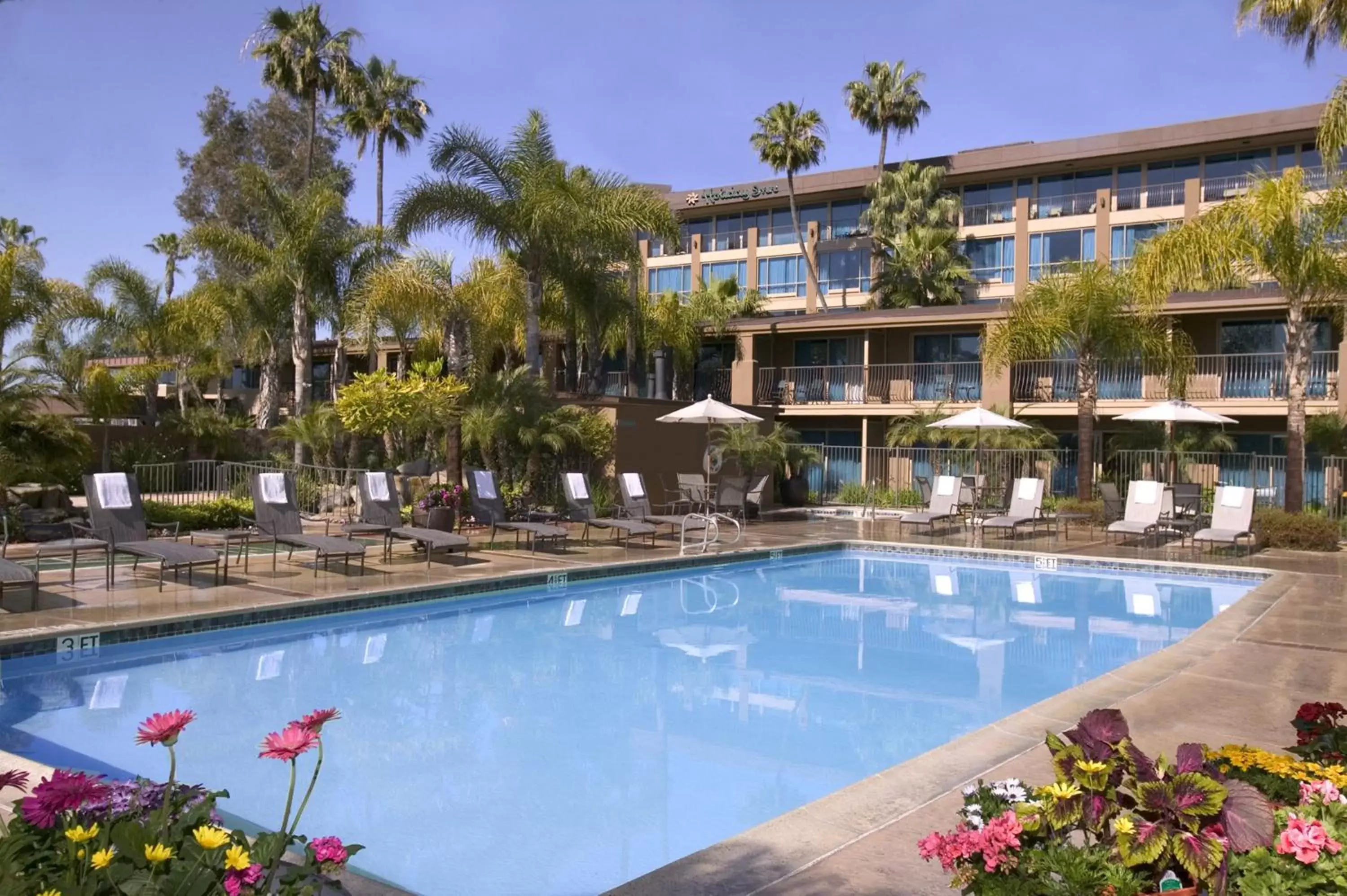 Swimming pool, Property Building in Holiday Inn San Diego Bayside, an IHG Hotel