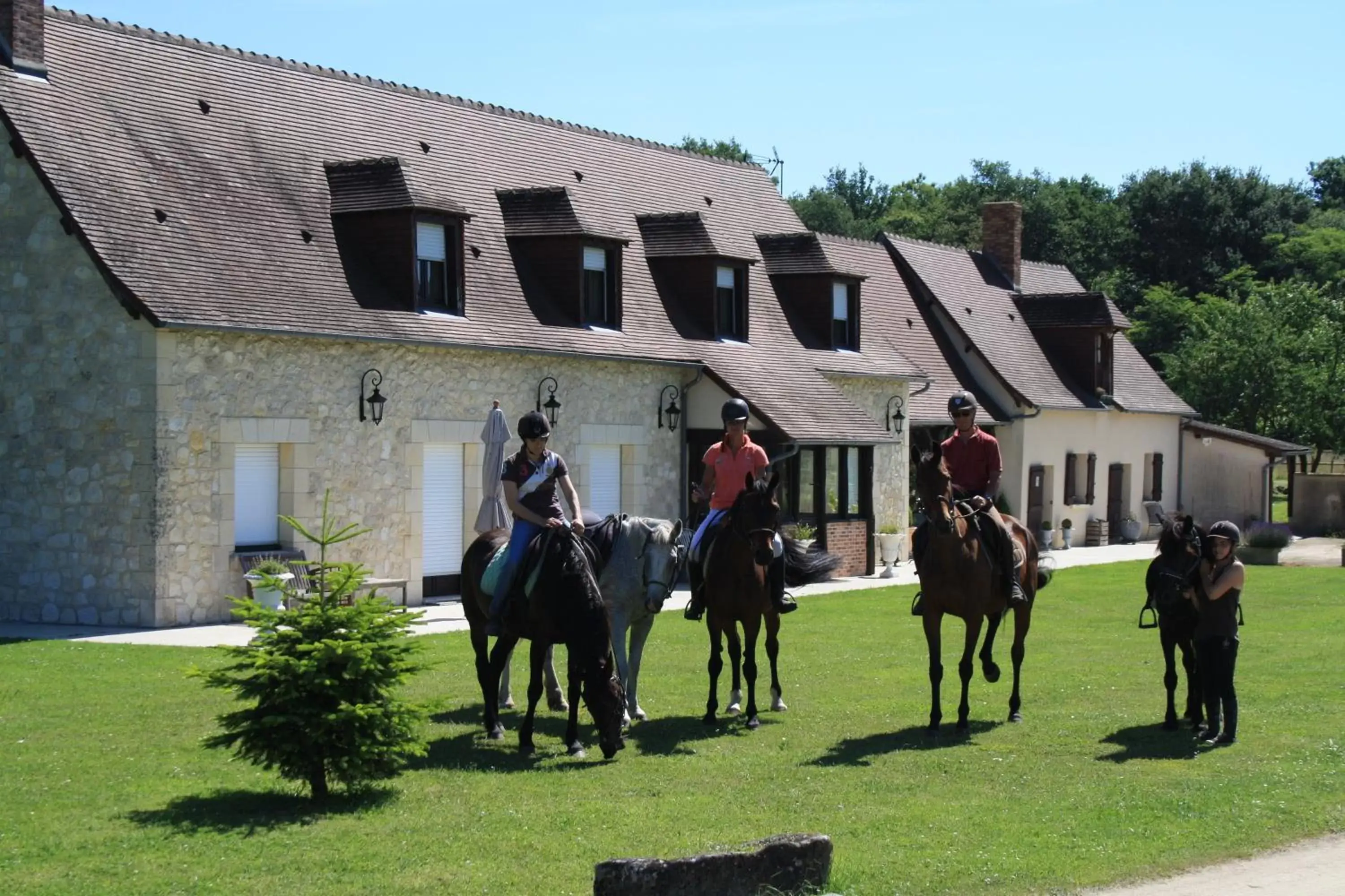 Horse-riding, Horseback Riding in Chambres et Table d'Hôtes Les Machetières