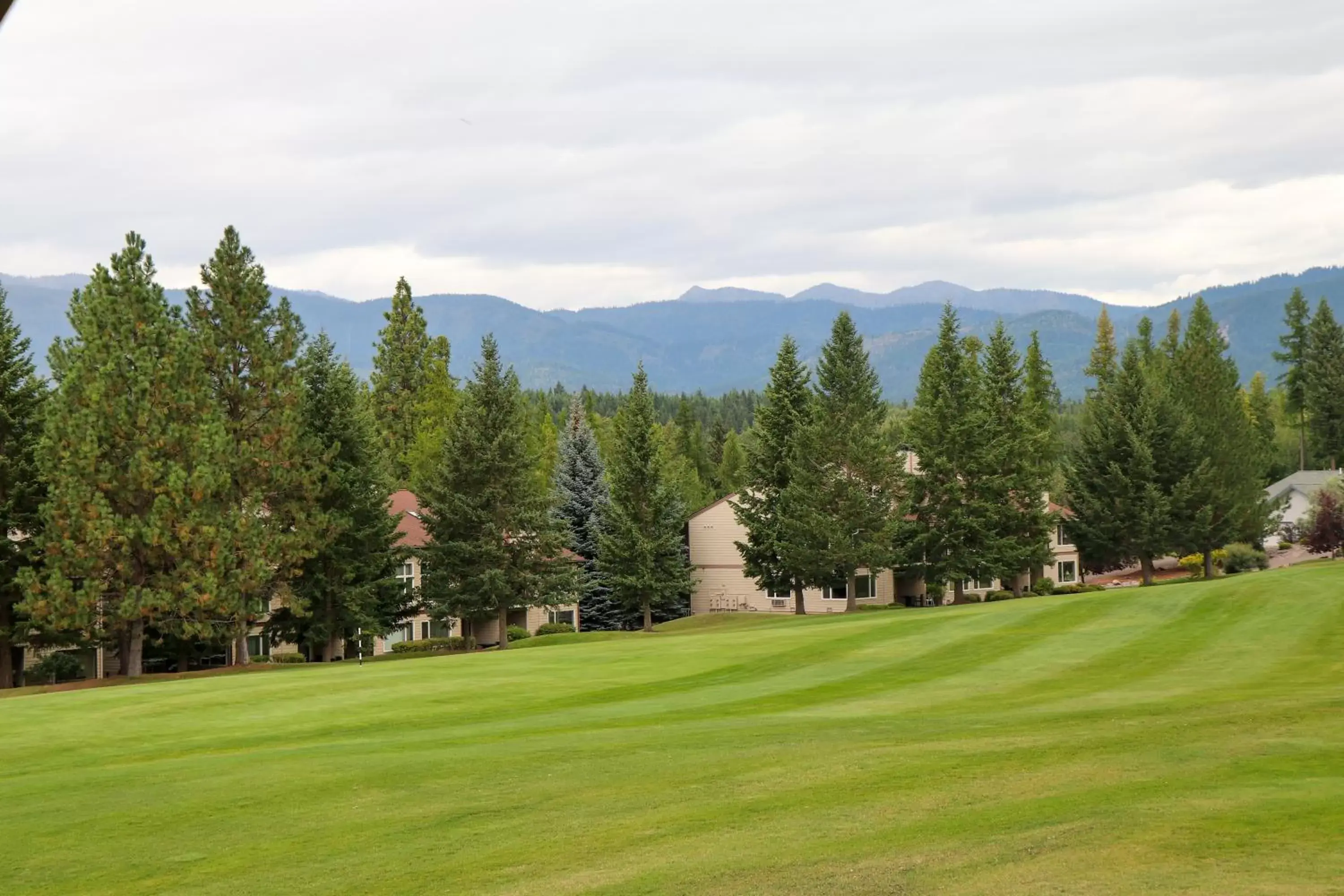 Golfcourse in Meadow Lake Resort & Condos