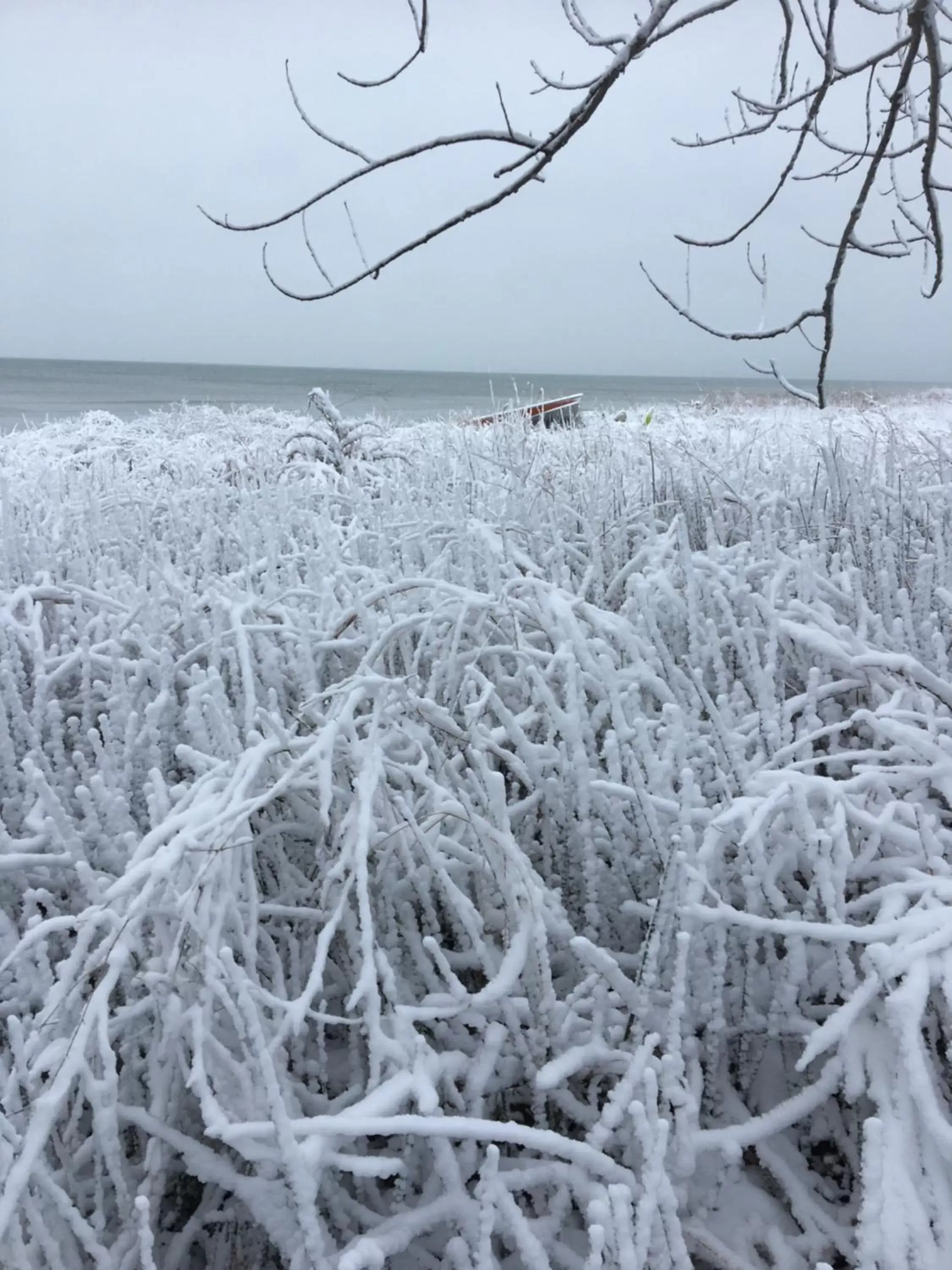 Natural landscape, Winter in Bye the Bay Bed and Breakfast