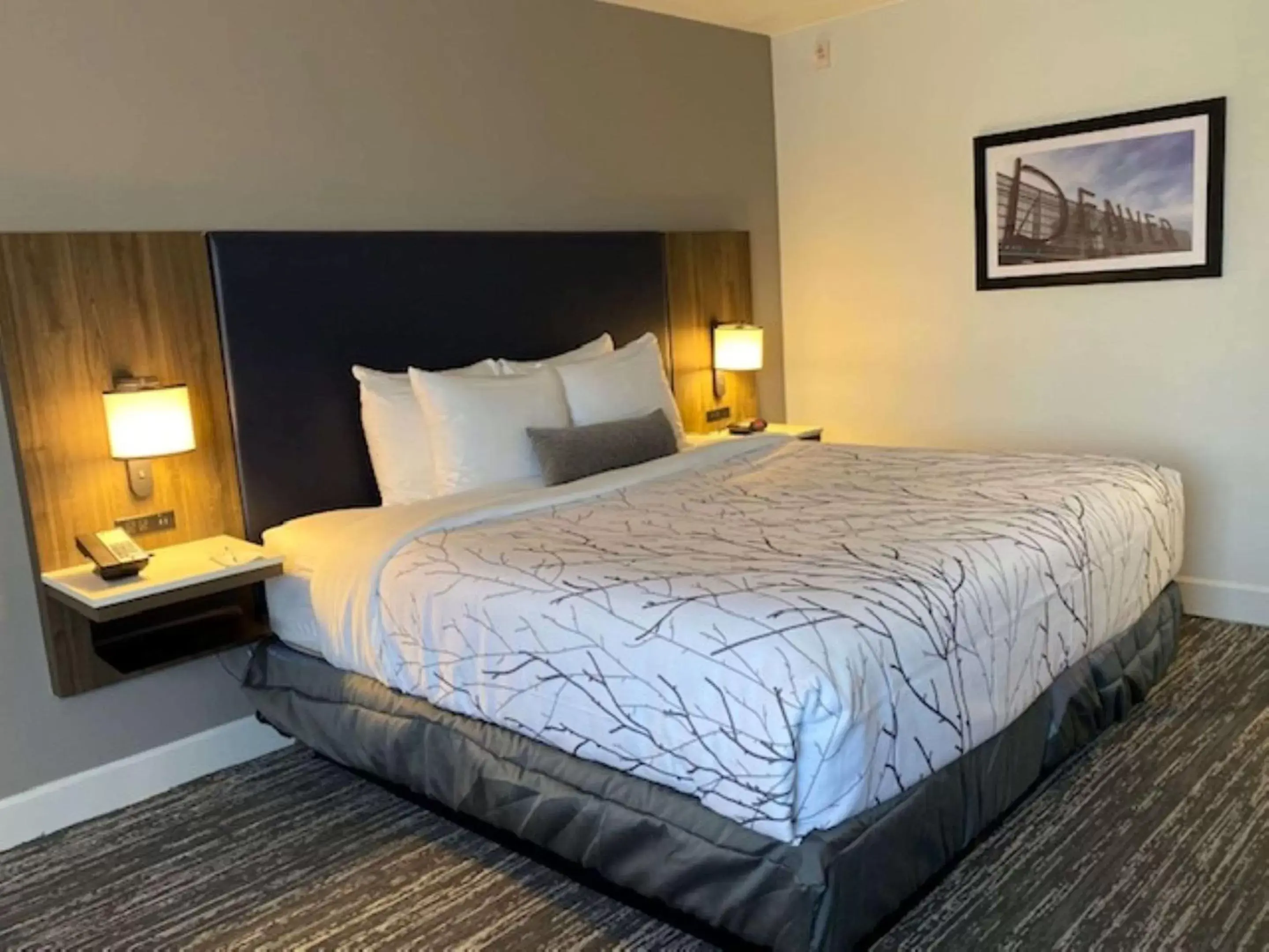 King Suite with Sofa Bed and Balcony in Best Western Premier Denver East
