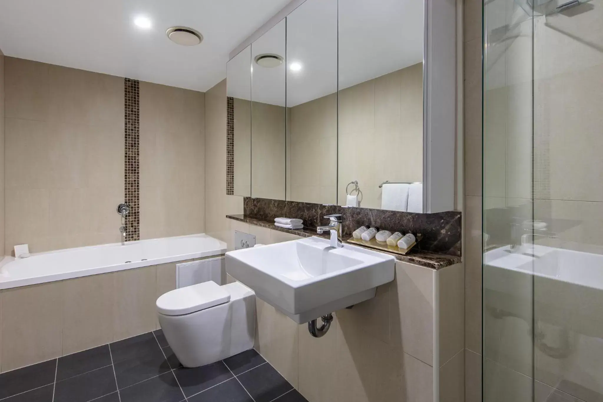 Bathroom in Meriton Suites Pitt Street, Sydney