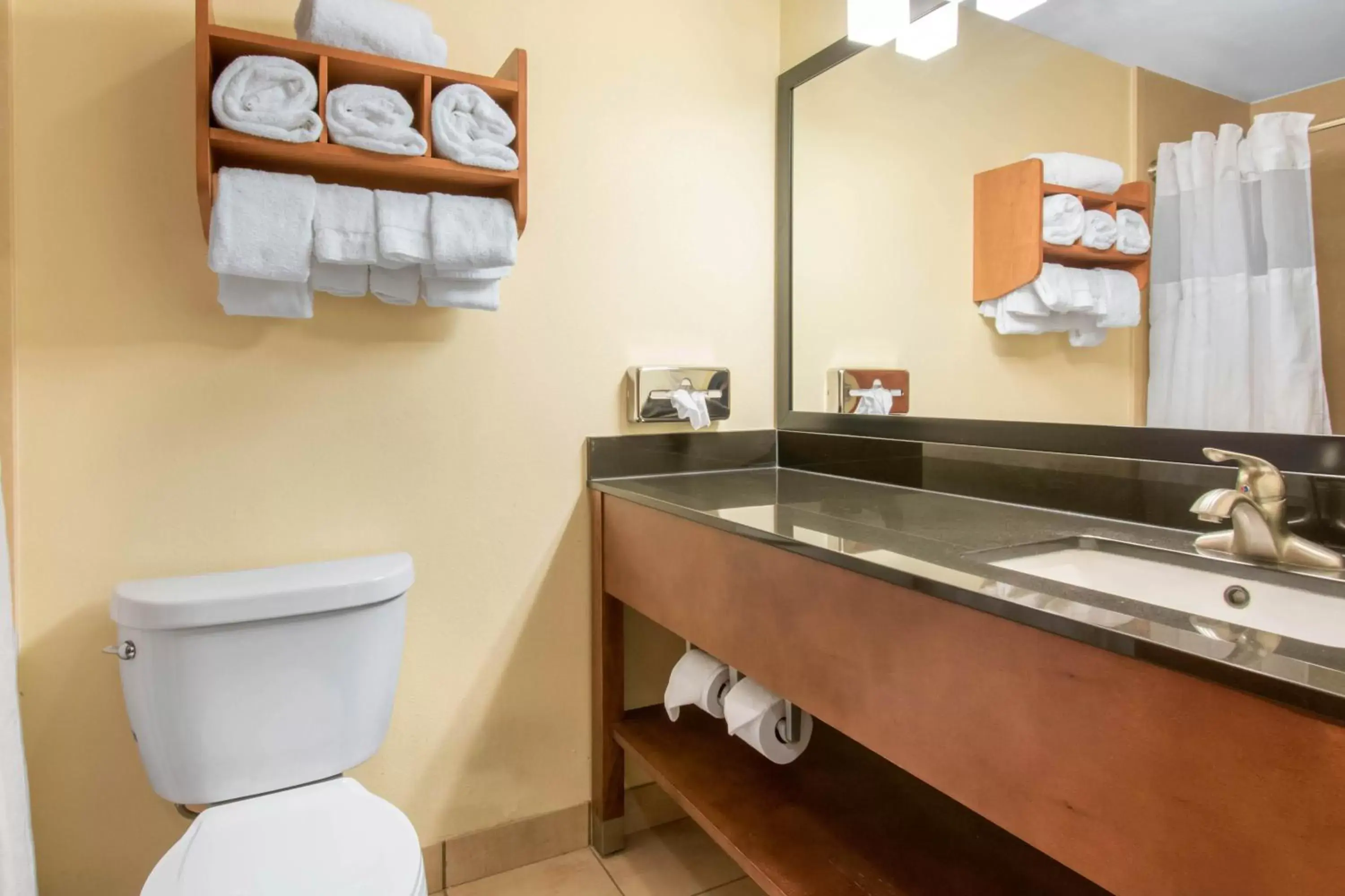 Bathroom in Clarion Hotel & Suites University-Shippensburg