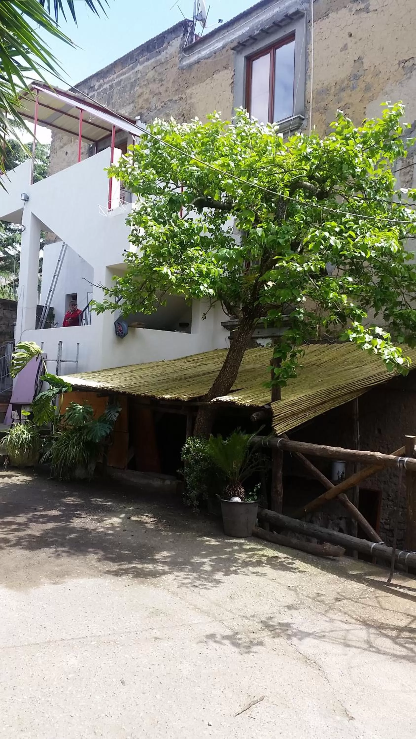 Garden in Casa Carolina B&B