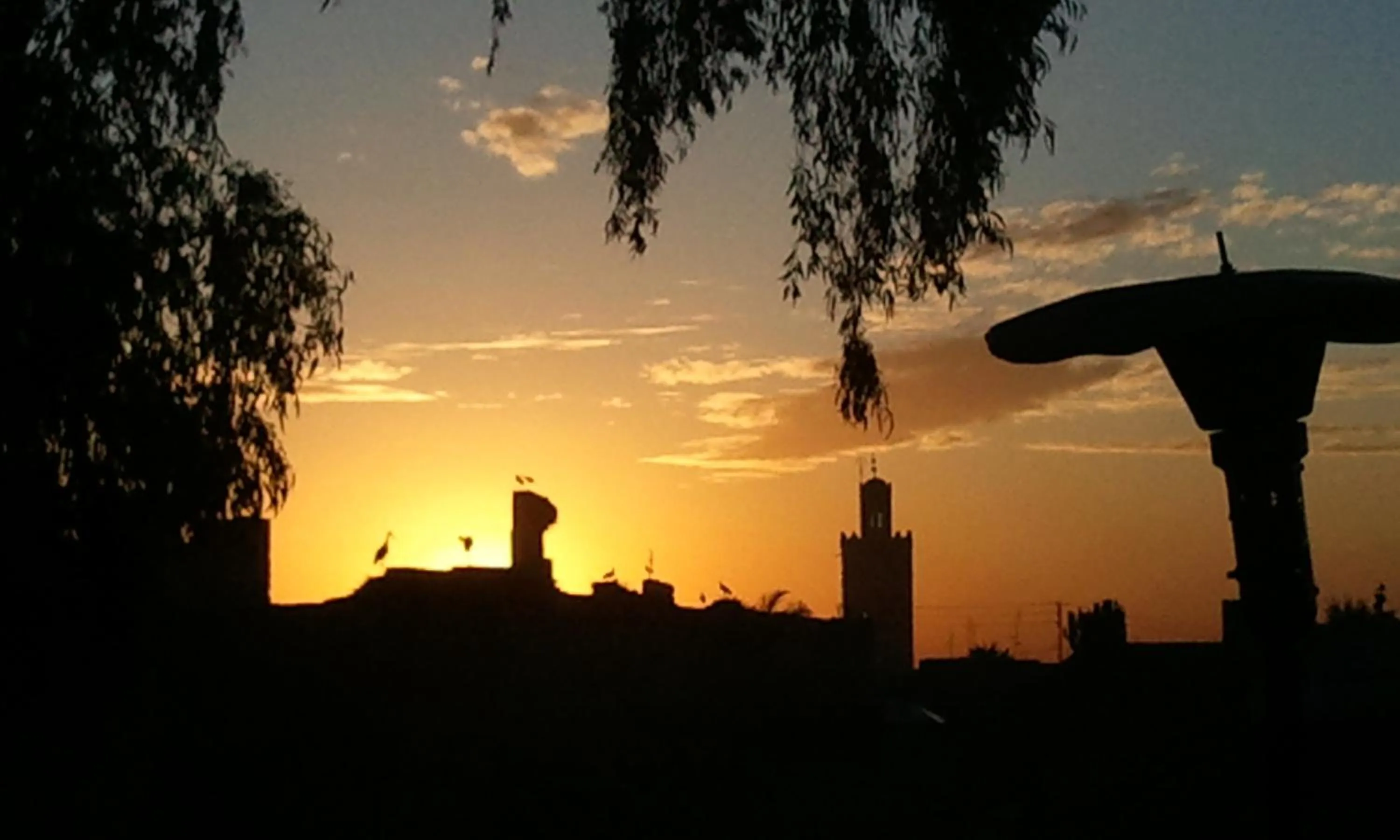 View (from property/room) in Riad Eloise