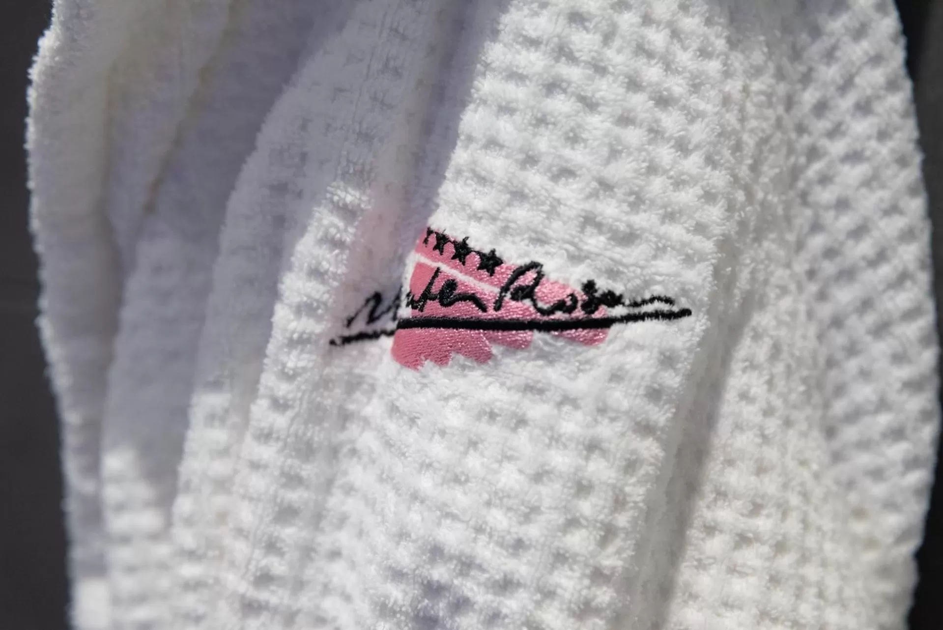 Property logo or sign in Hotel Monte Rosa