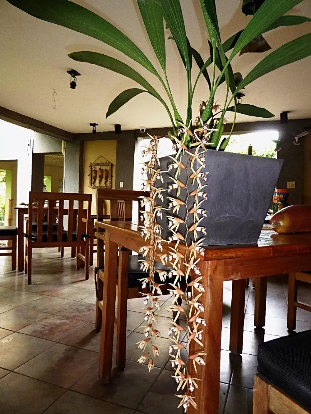 Restaurant/Places to Eat in Pura Vida Hotel