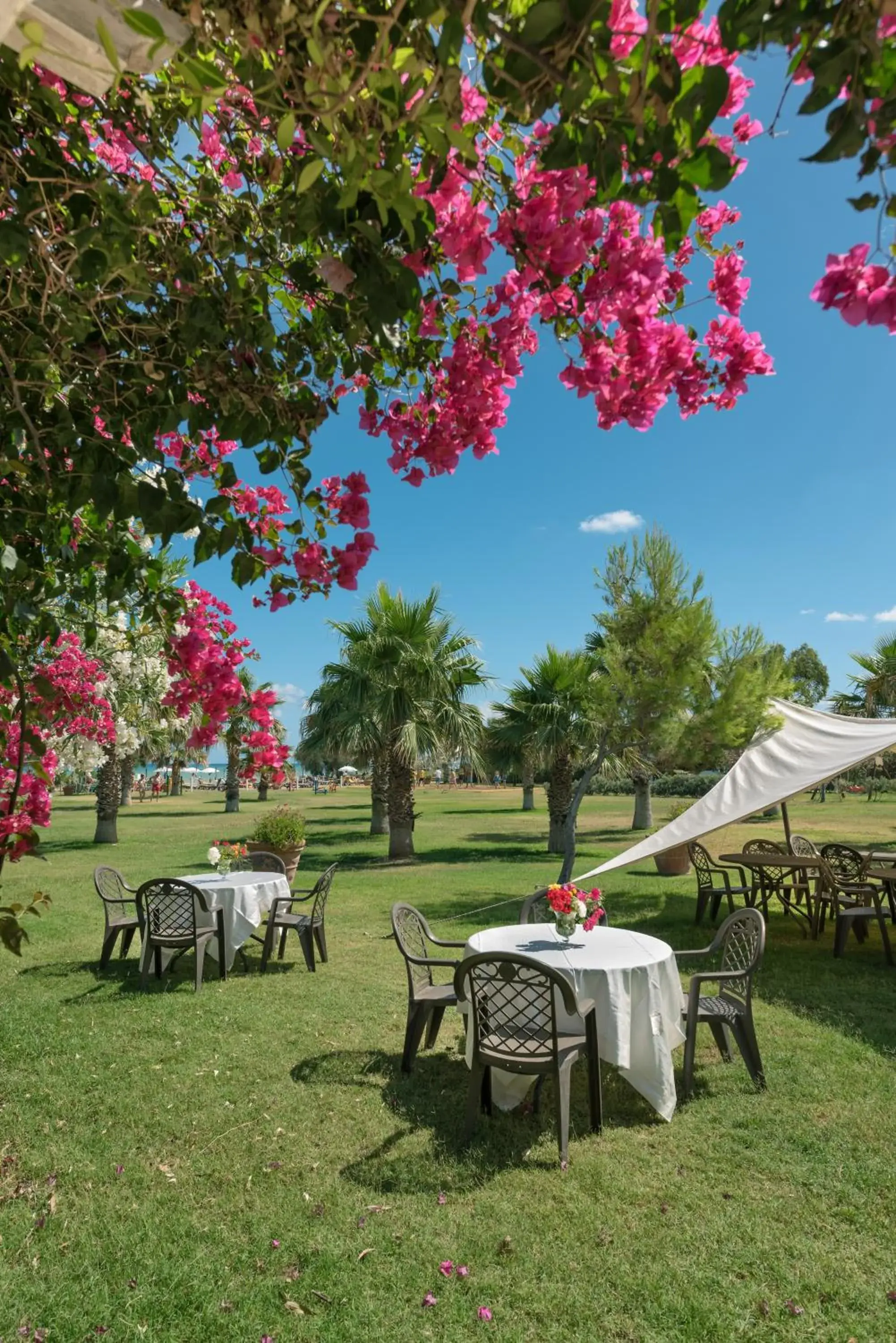 Restaurant/places to eat, Garden in Acacia Resort Parco Dei Leoni