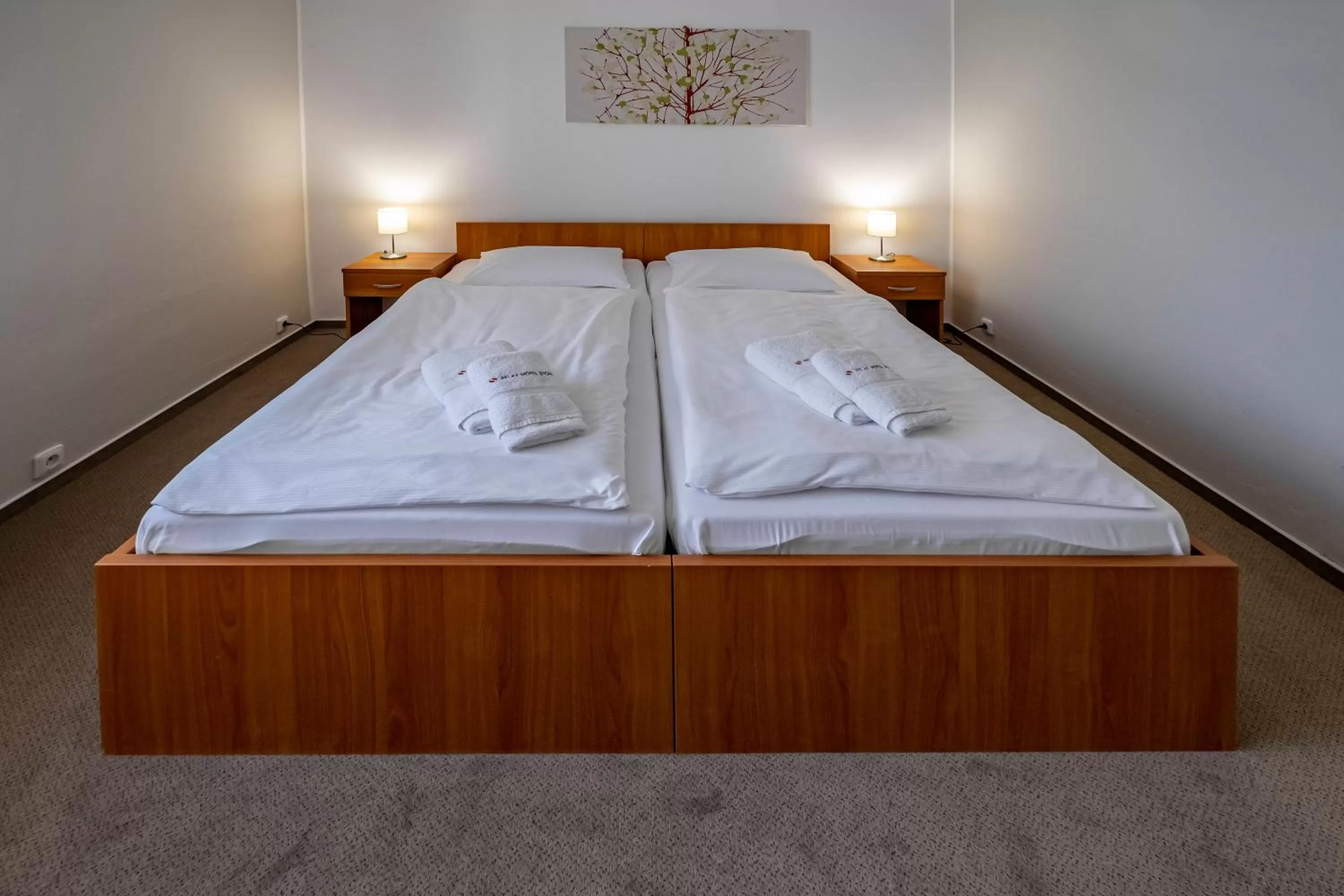 Apartment (4 Adults) in Relax Hotel Stork