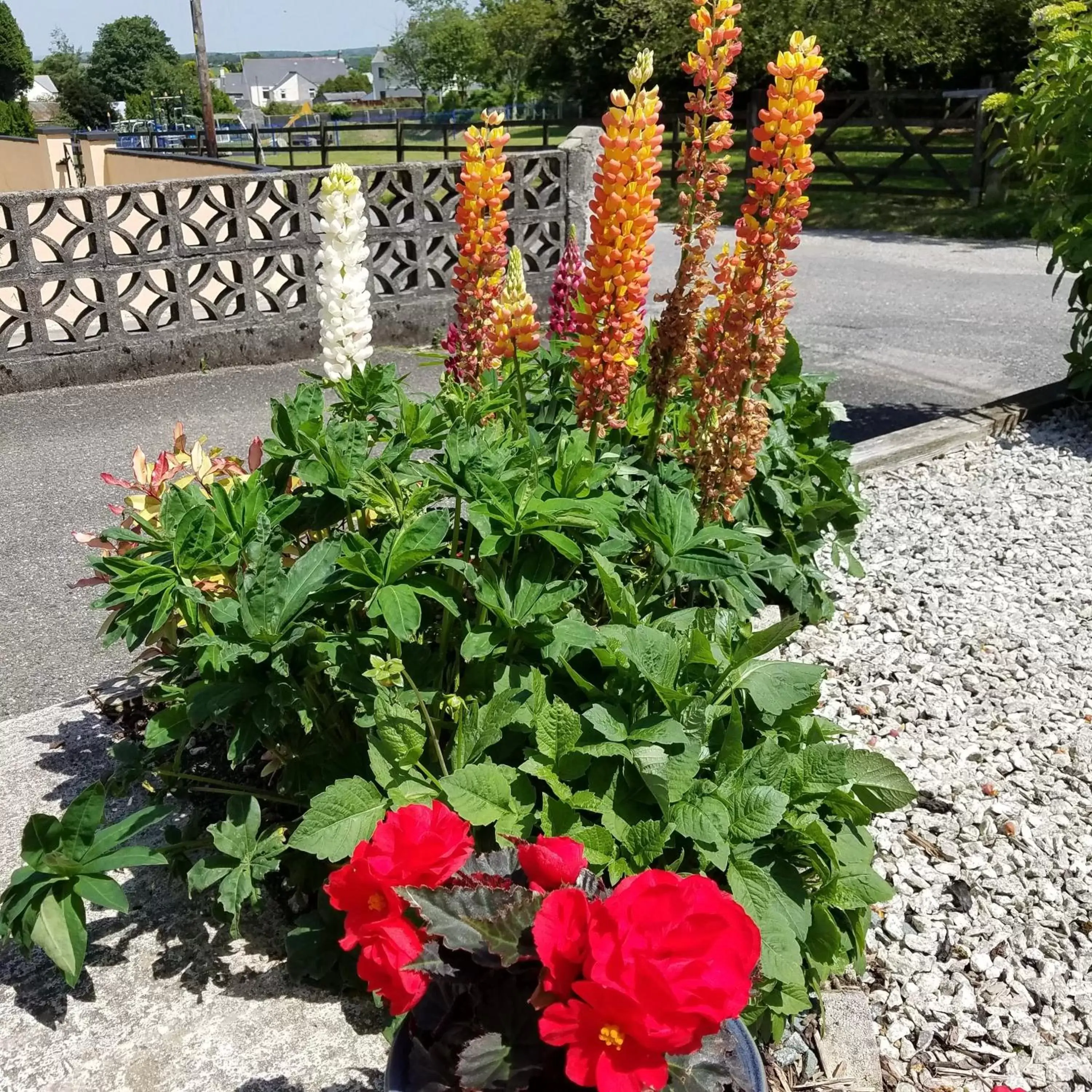 Garden in Eden's Rest Bed and Breakfast