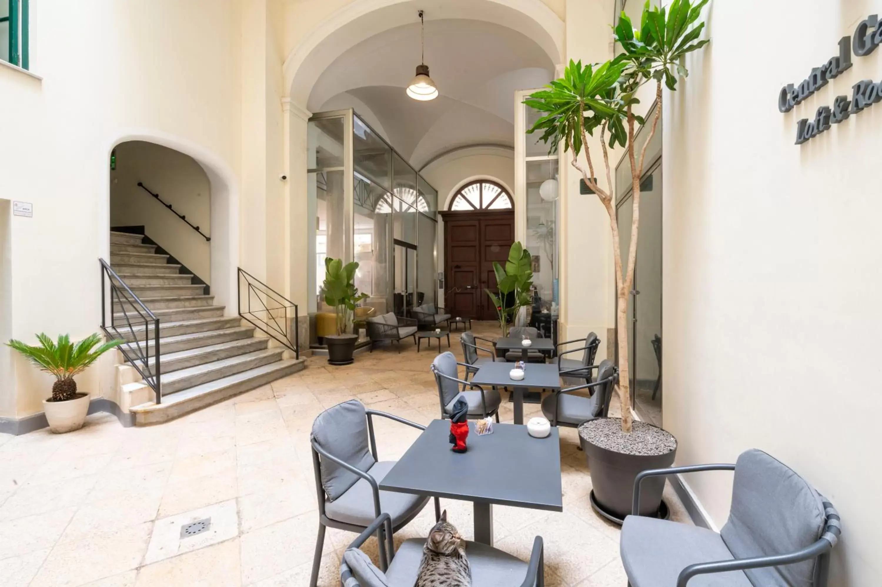 Patio in Central Gallery Rooms- Palazzo D'Ali' Staiti XIX