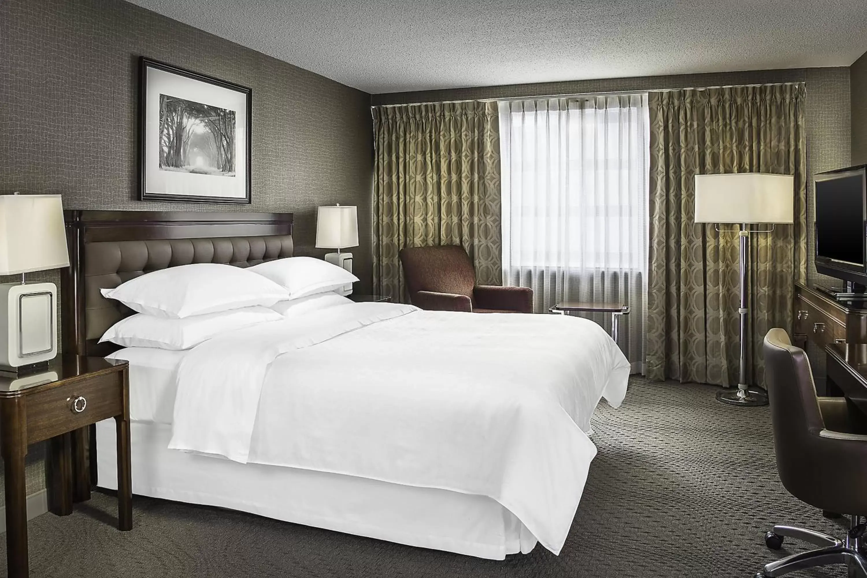 Photo of the whole room, Bed in Sheraton Oklahoma City Downtown Hotel