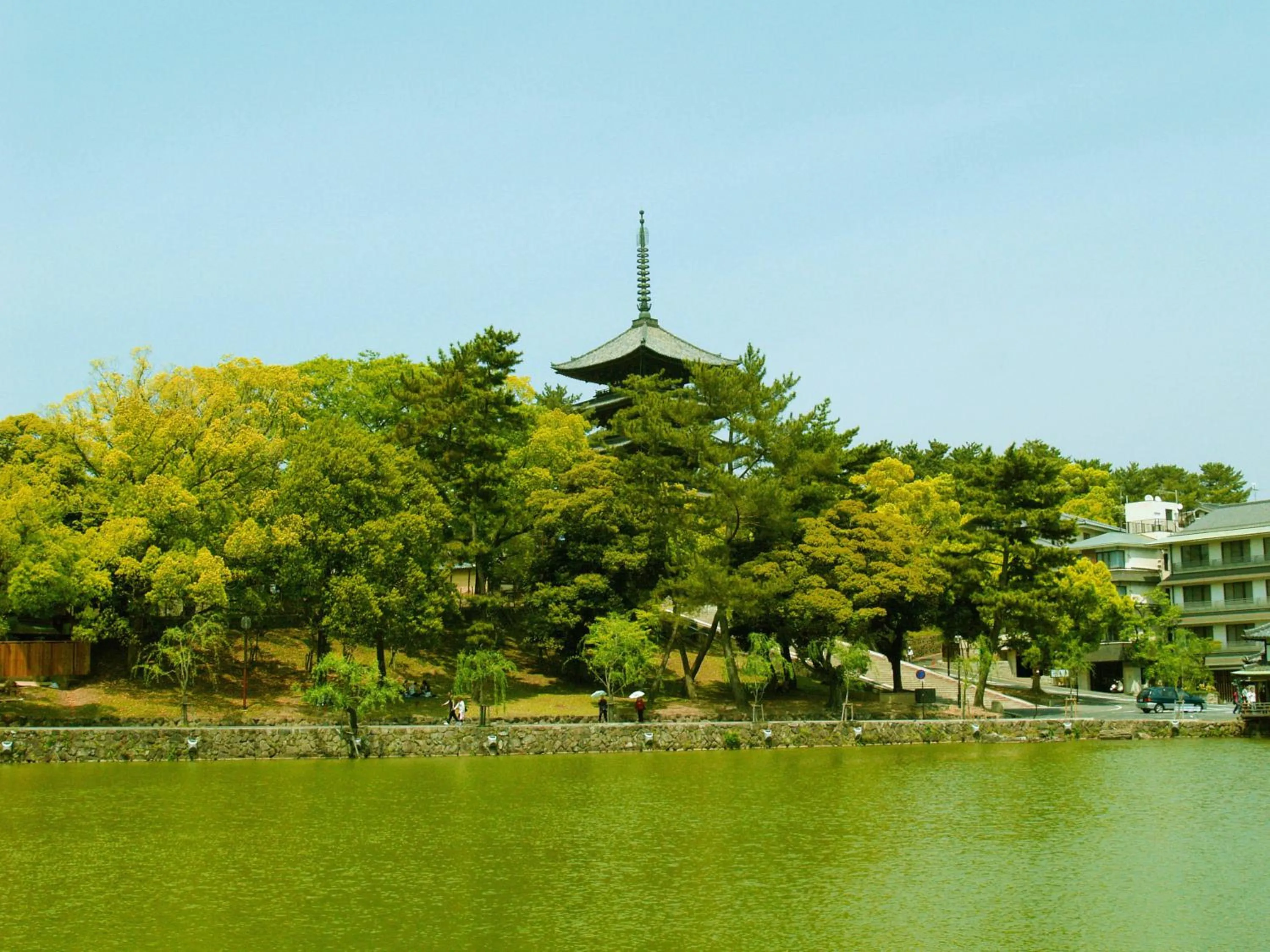 Area and facilities in Guesthouse Nara Komachi