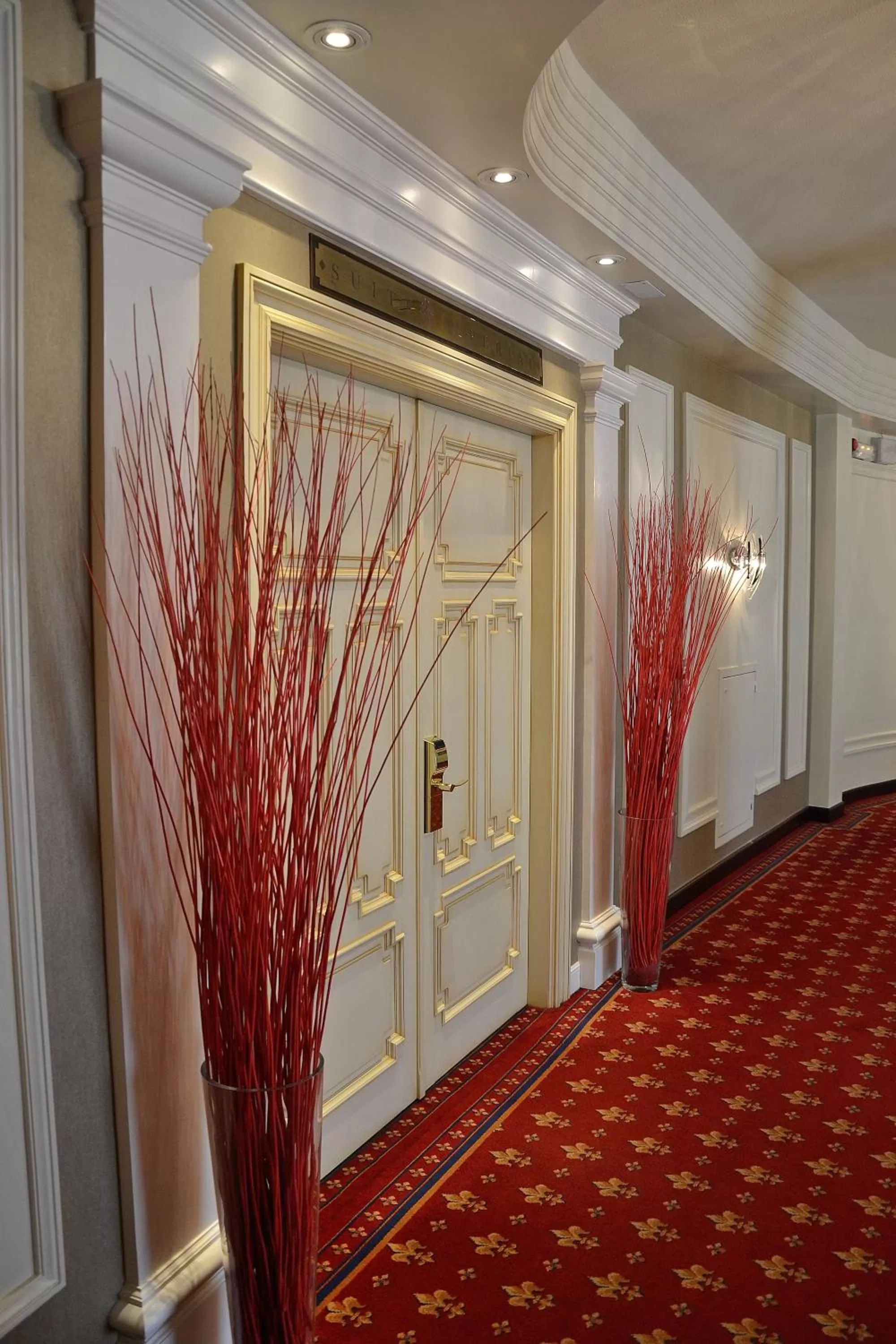 Photo of the whole room in Hotel Carlton