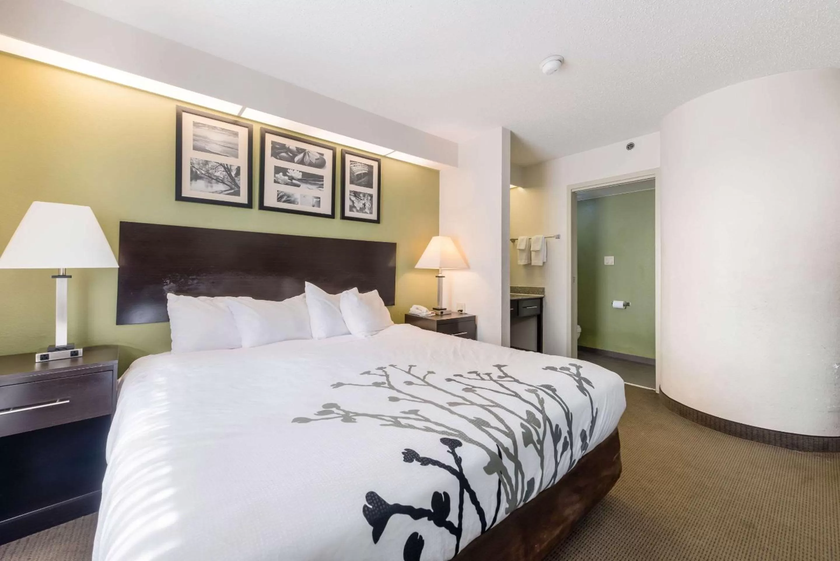 Photo of the whole room, Bed in Rodeway Inn