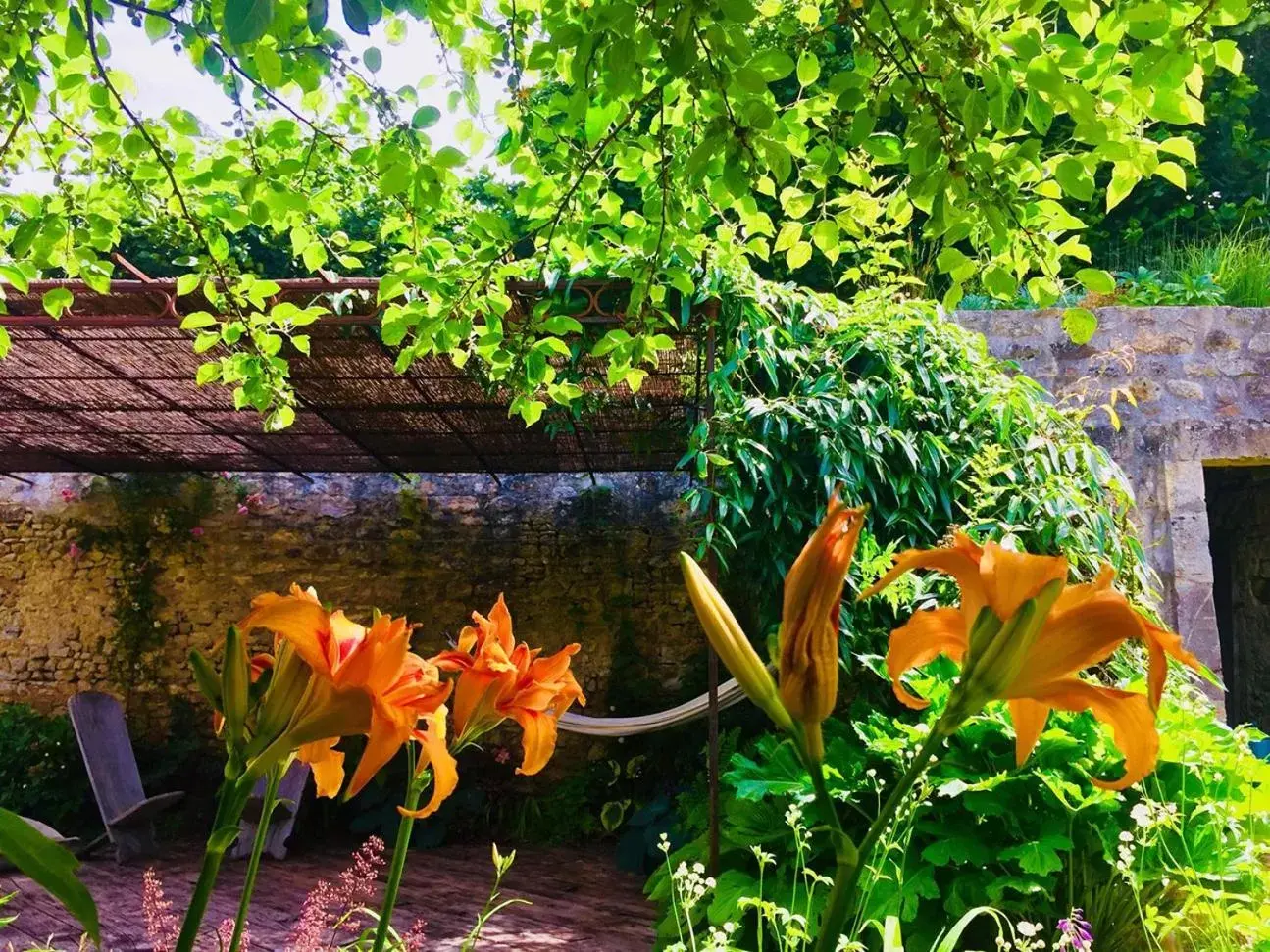 Patio, Garden in L'Ecole des Garçons