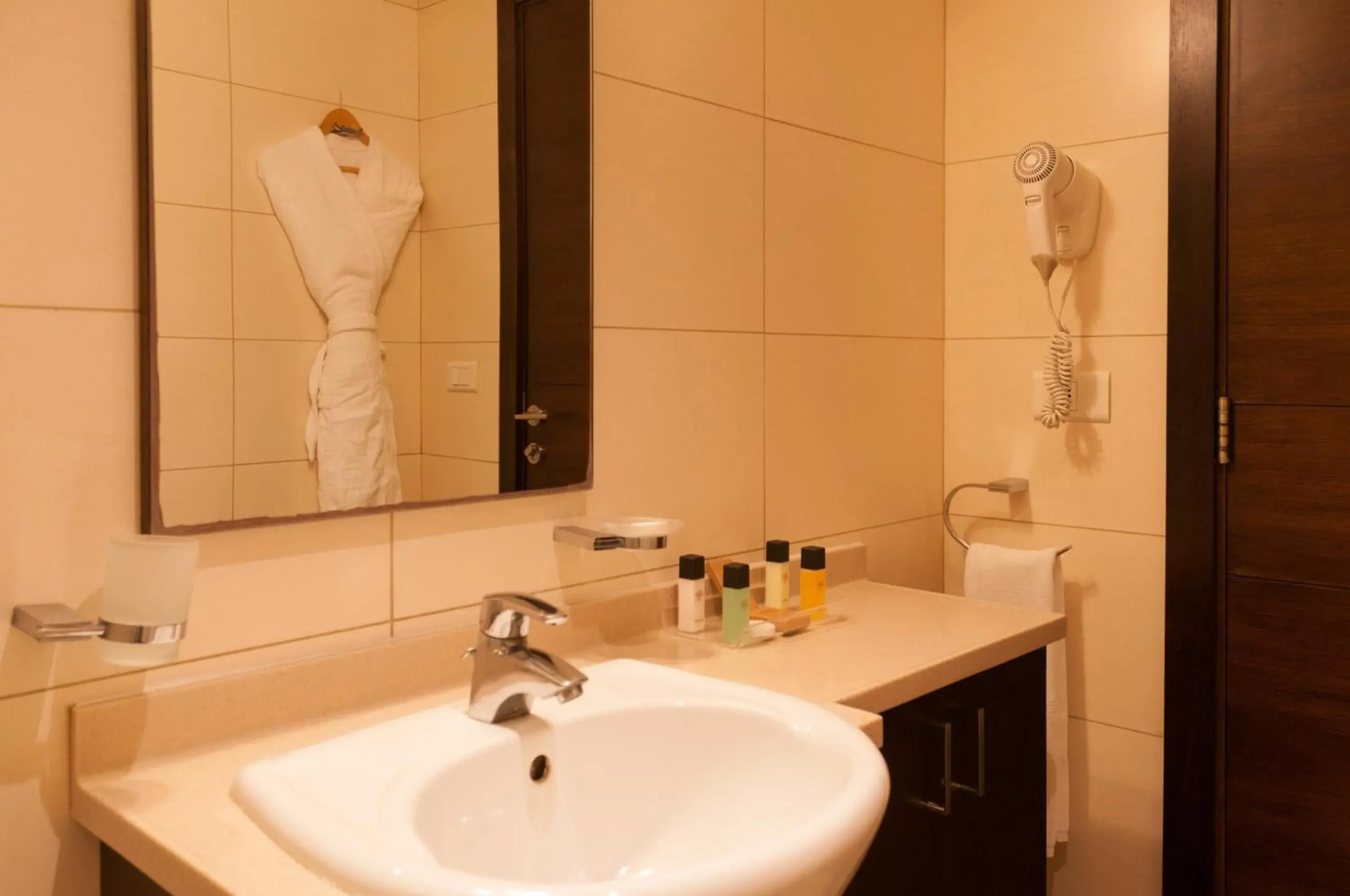 Bathroom in The Parisian Hotel