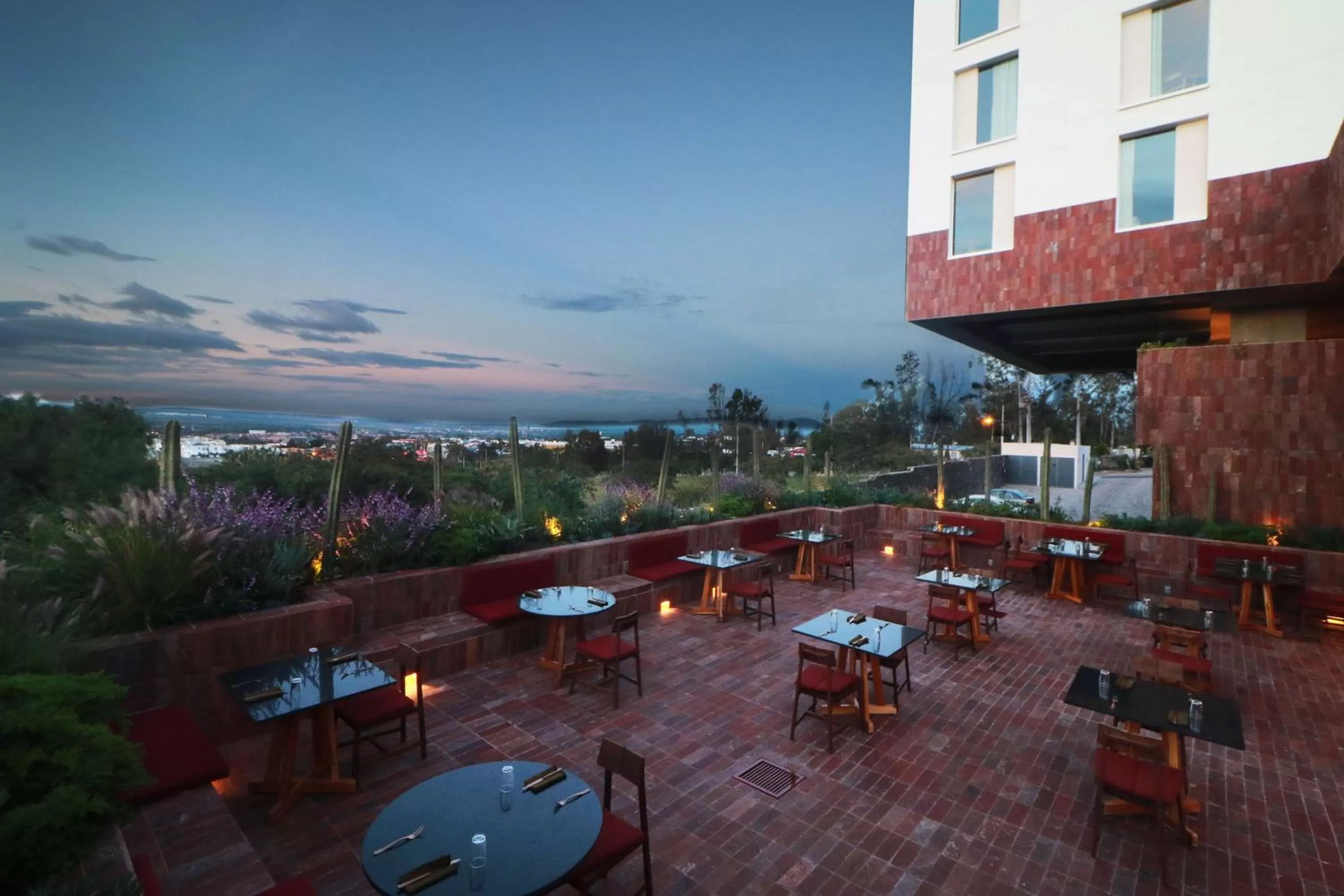 Restaurant/places to eat in Albor San Miguel de Allende, Tapestry Collection by Hilton