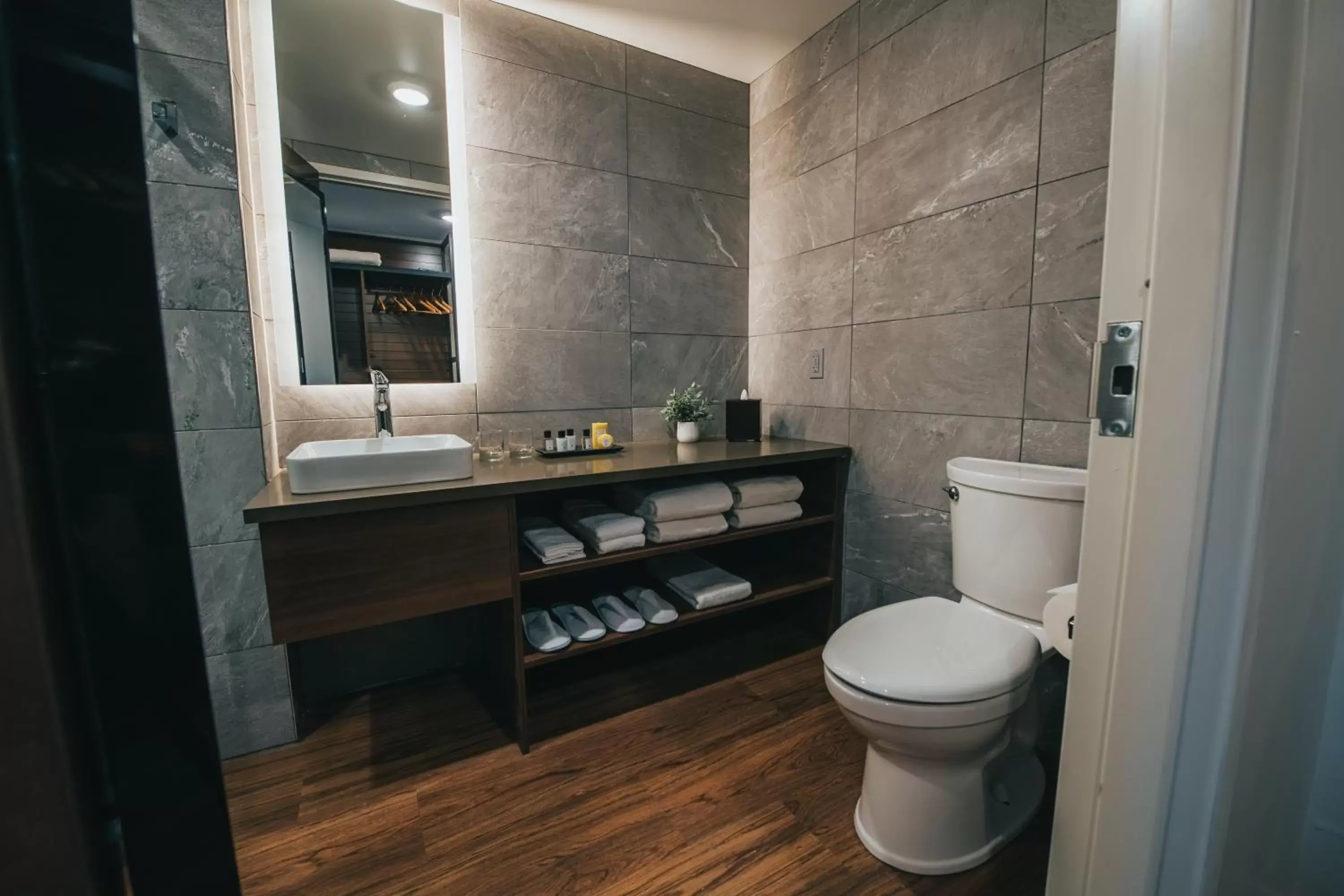 Toilet, Bathroom in Saranac Waterfront Lodge