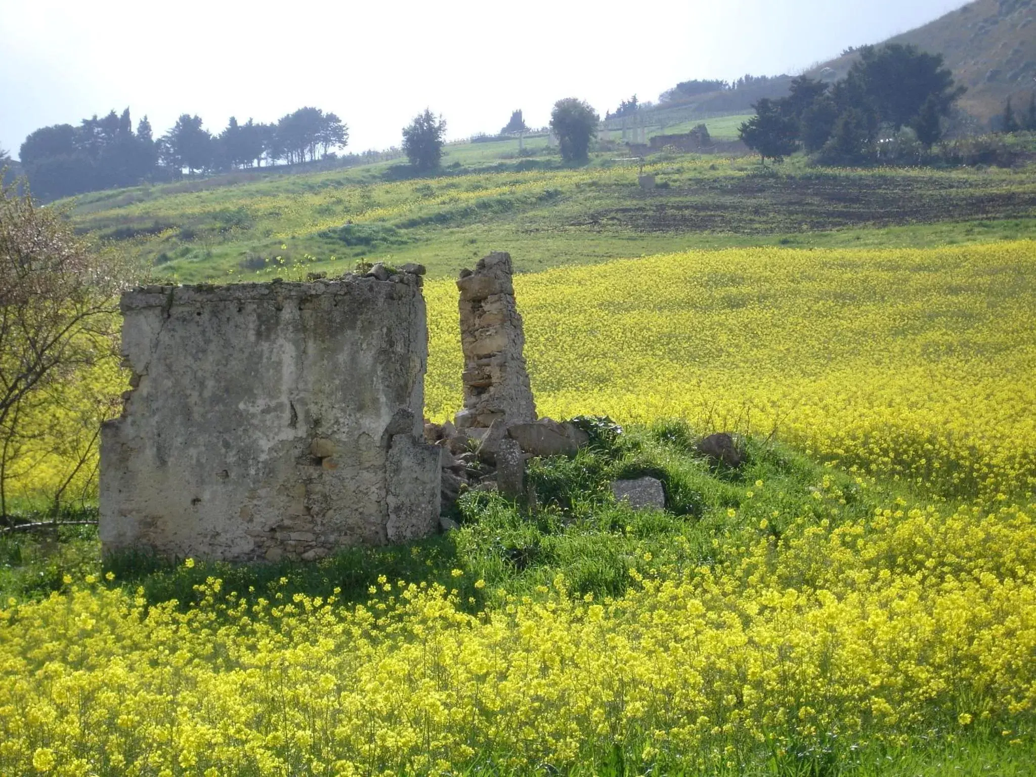 View (from property/room), Natural Landscape in Xanadu - Villa Giardinata