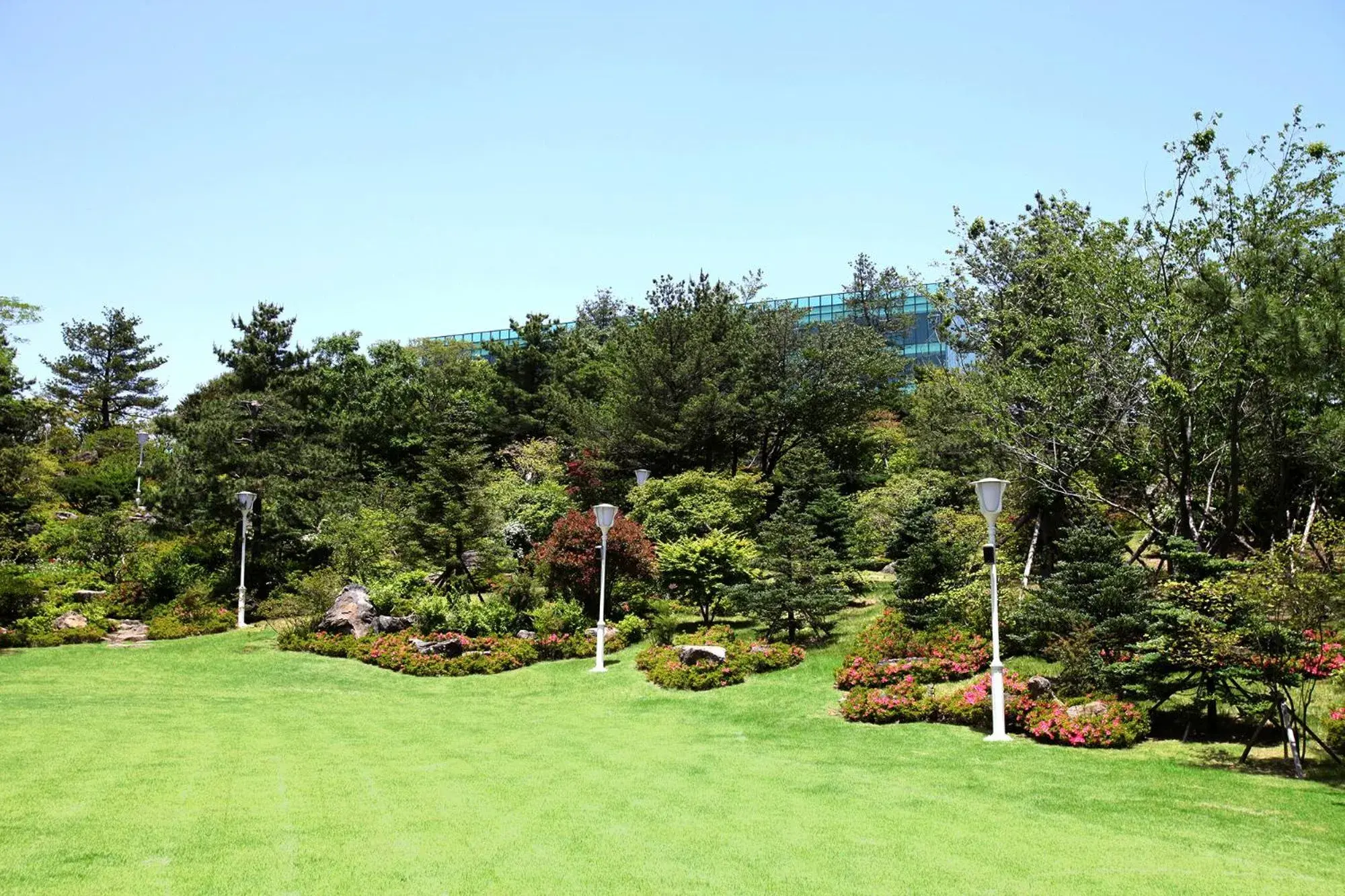 Garden in We Hotel Jeju