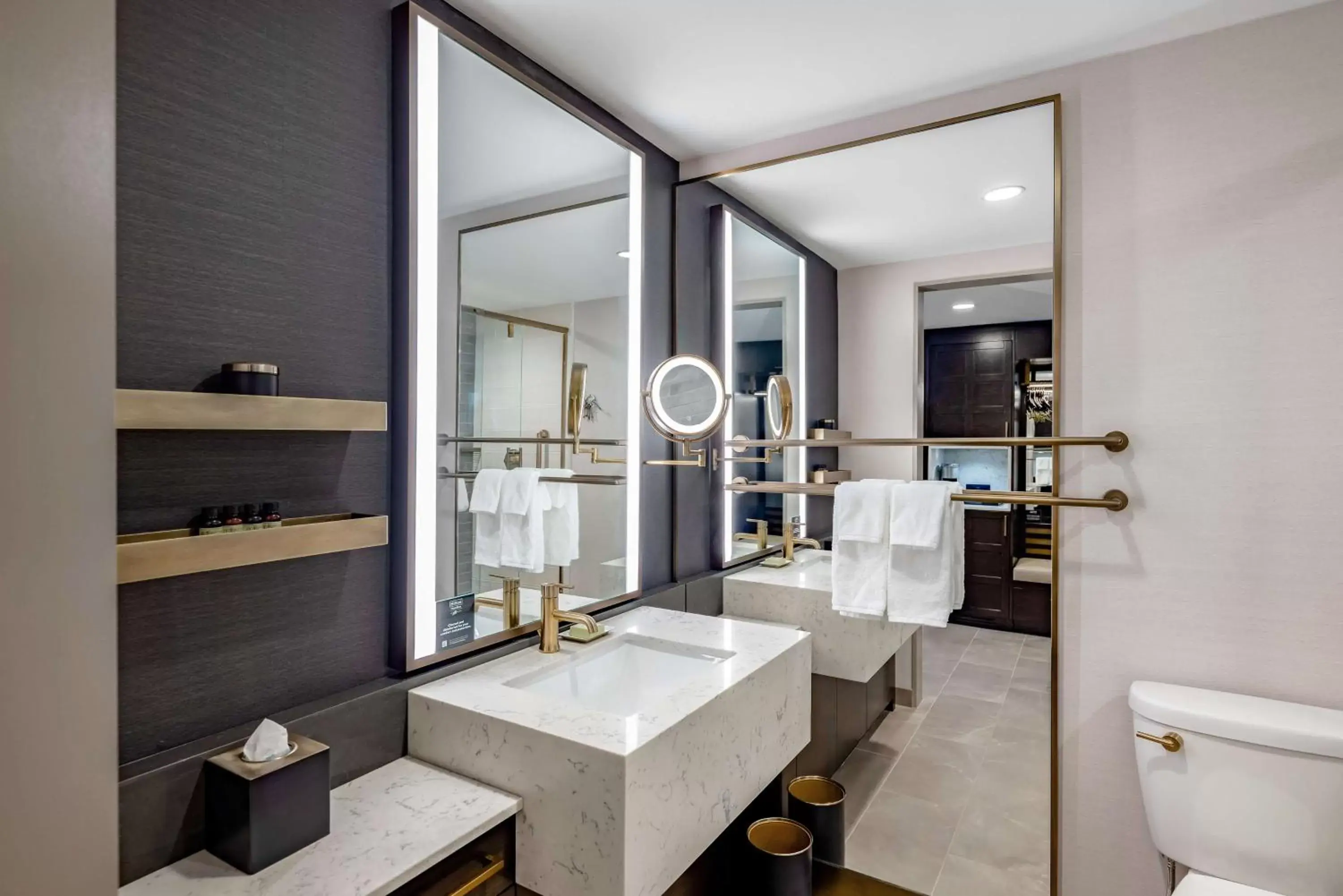 Bathroom in Hotel Fort Des Moines, Curio Collection By Hilton