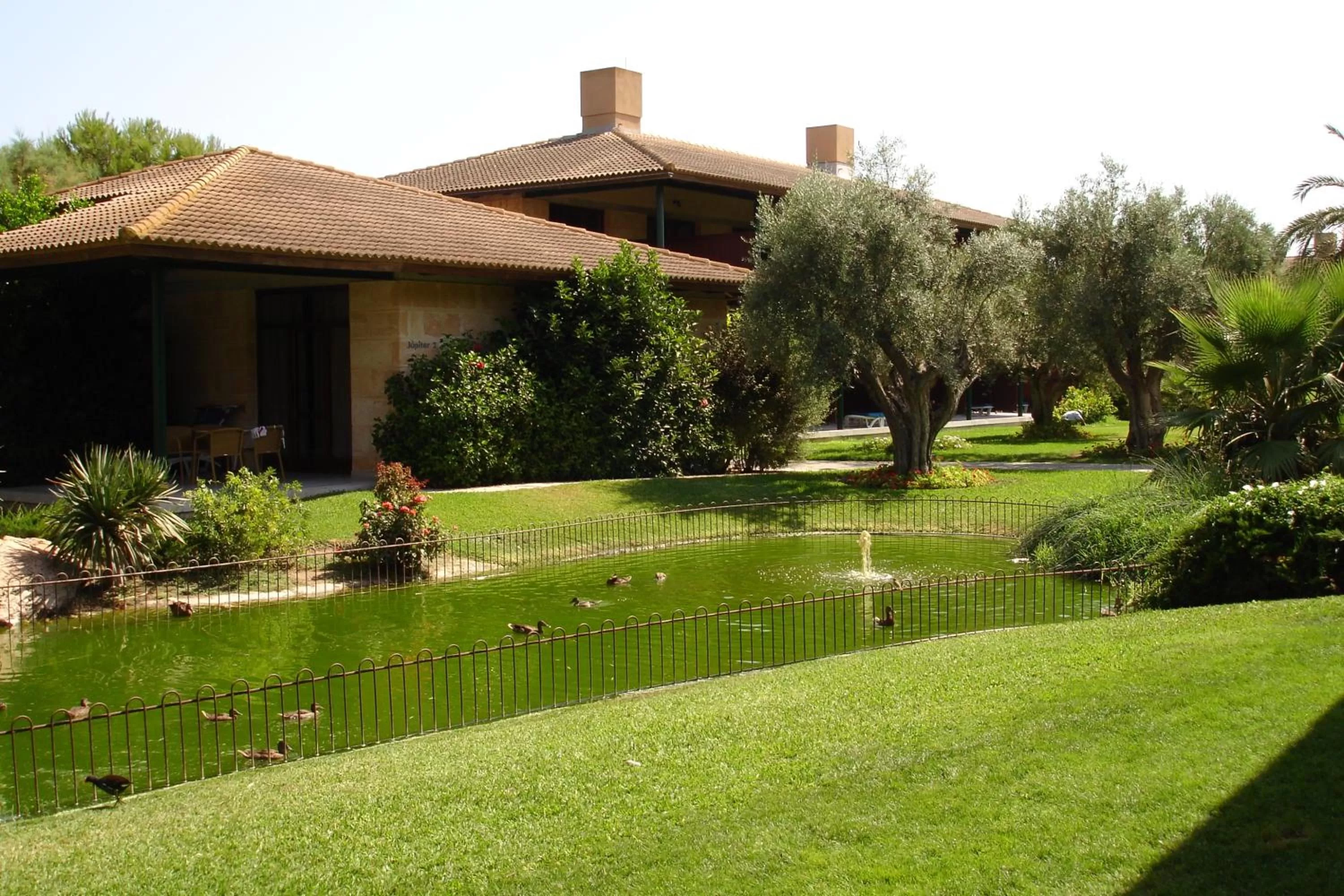 Garden in PortBlue Club Pollentia Resort & Spa