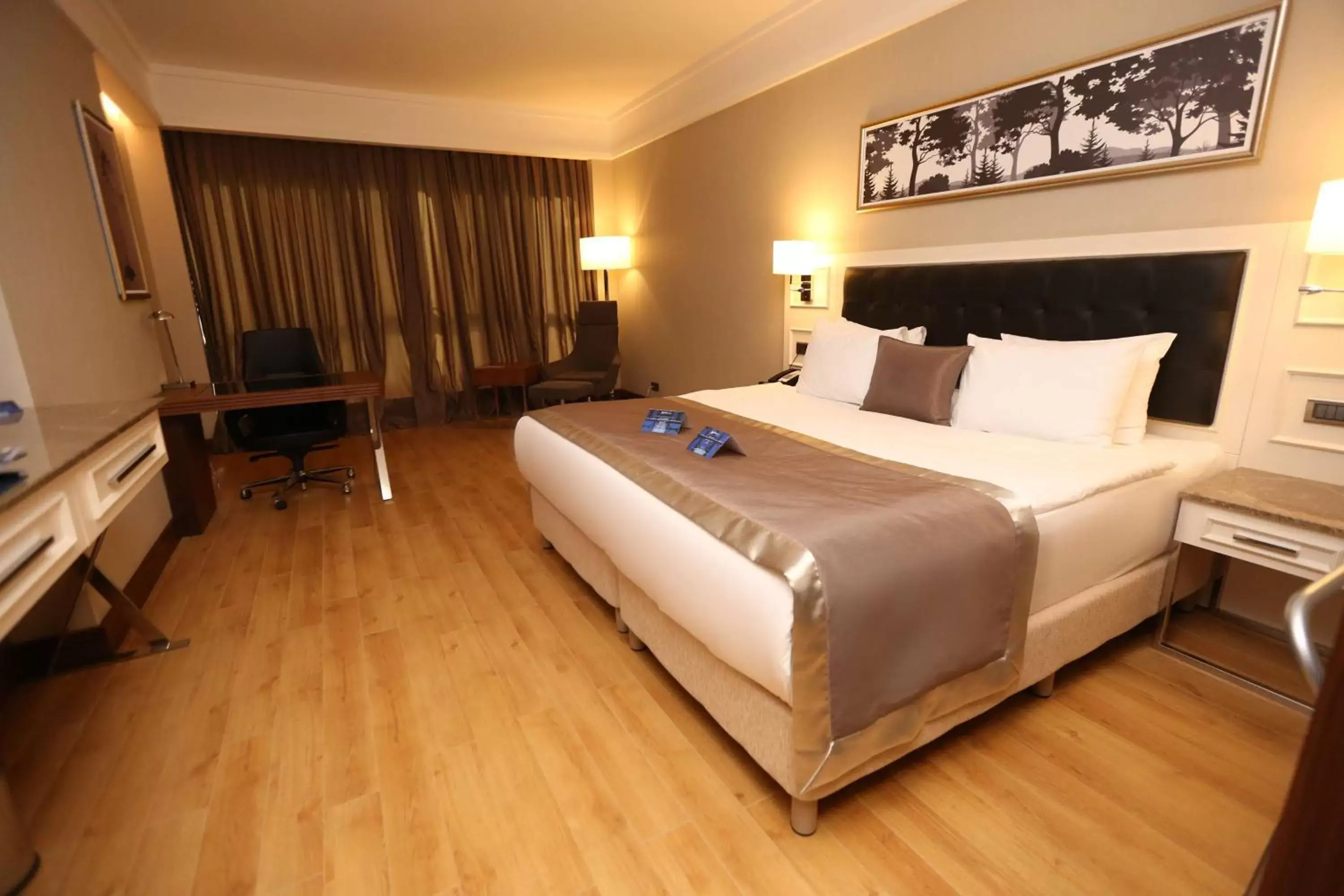 Superior Room in Radisson Blu Hotel, Diyarbakir