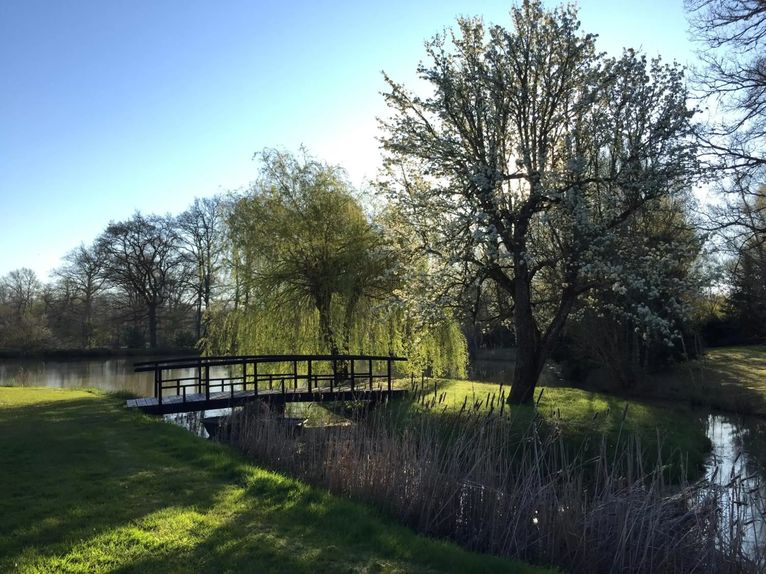 Garden in Ferme Boisquillon