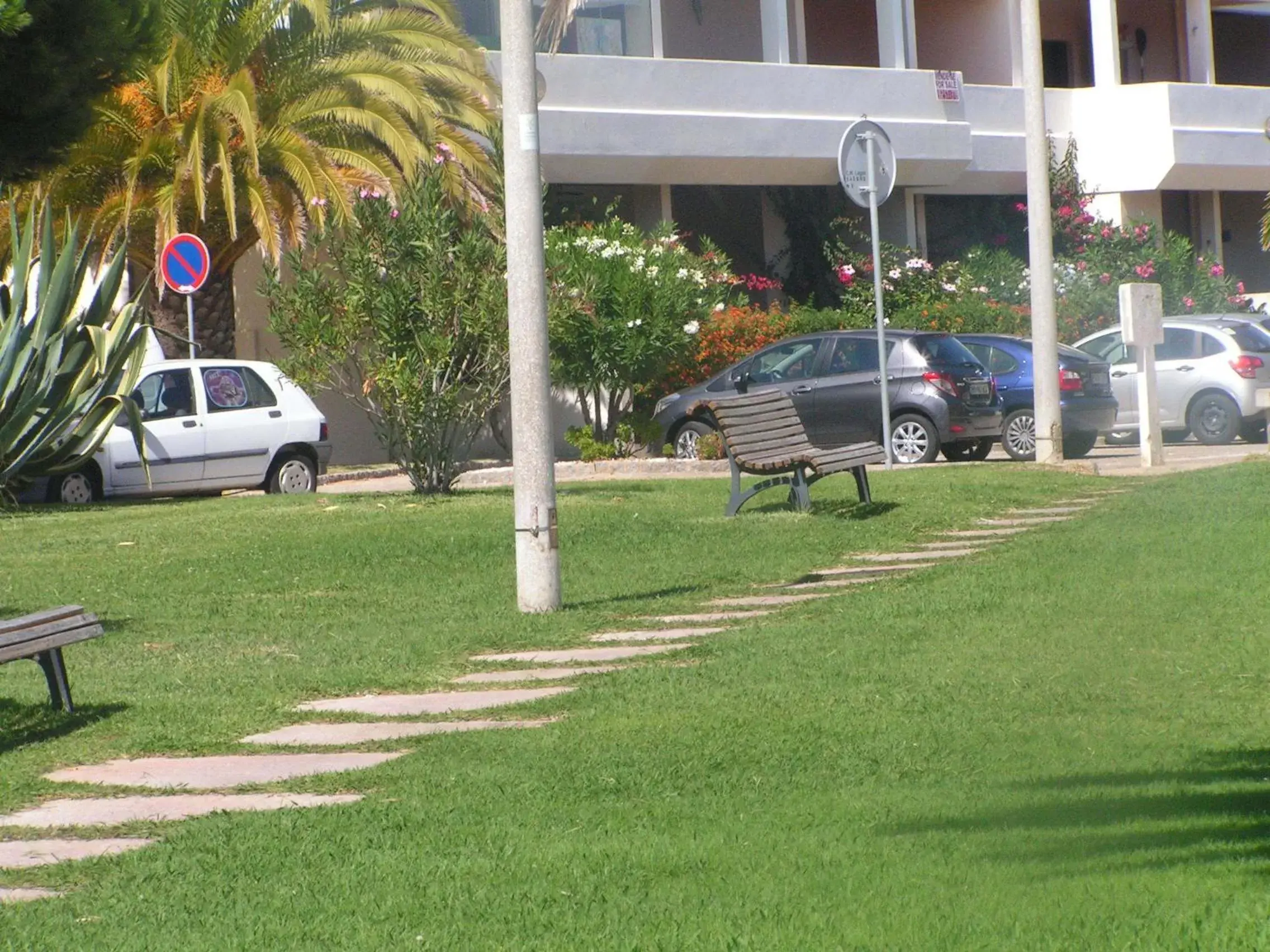 Garden in Iberlagos