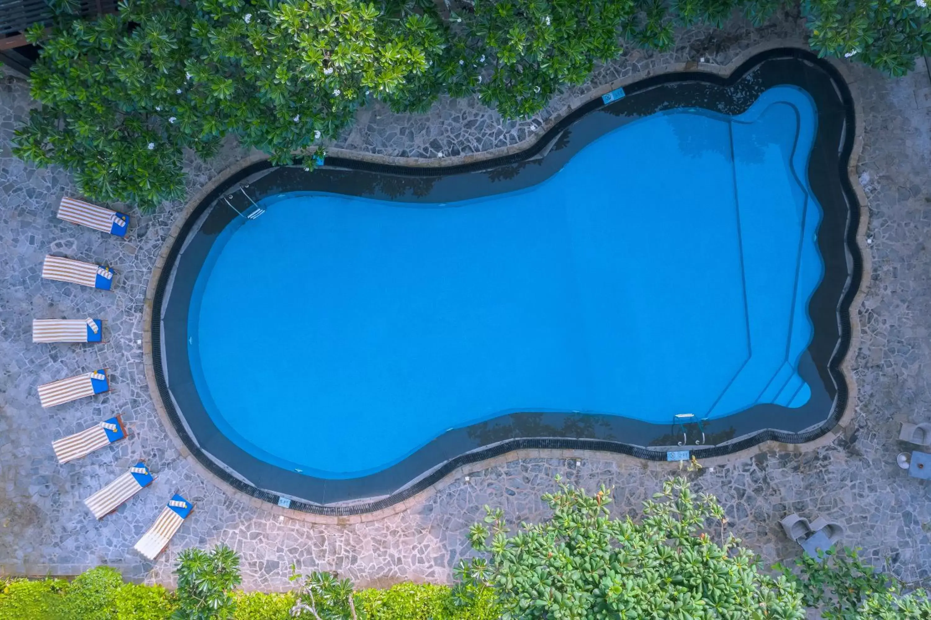 Bird's eye view, Pool View in Earl's Reef