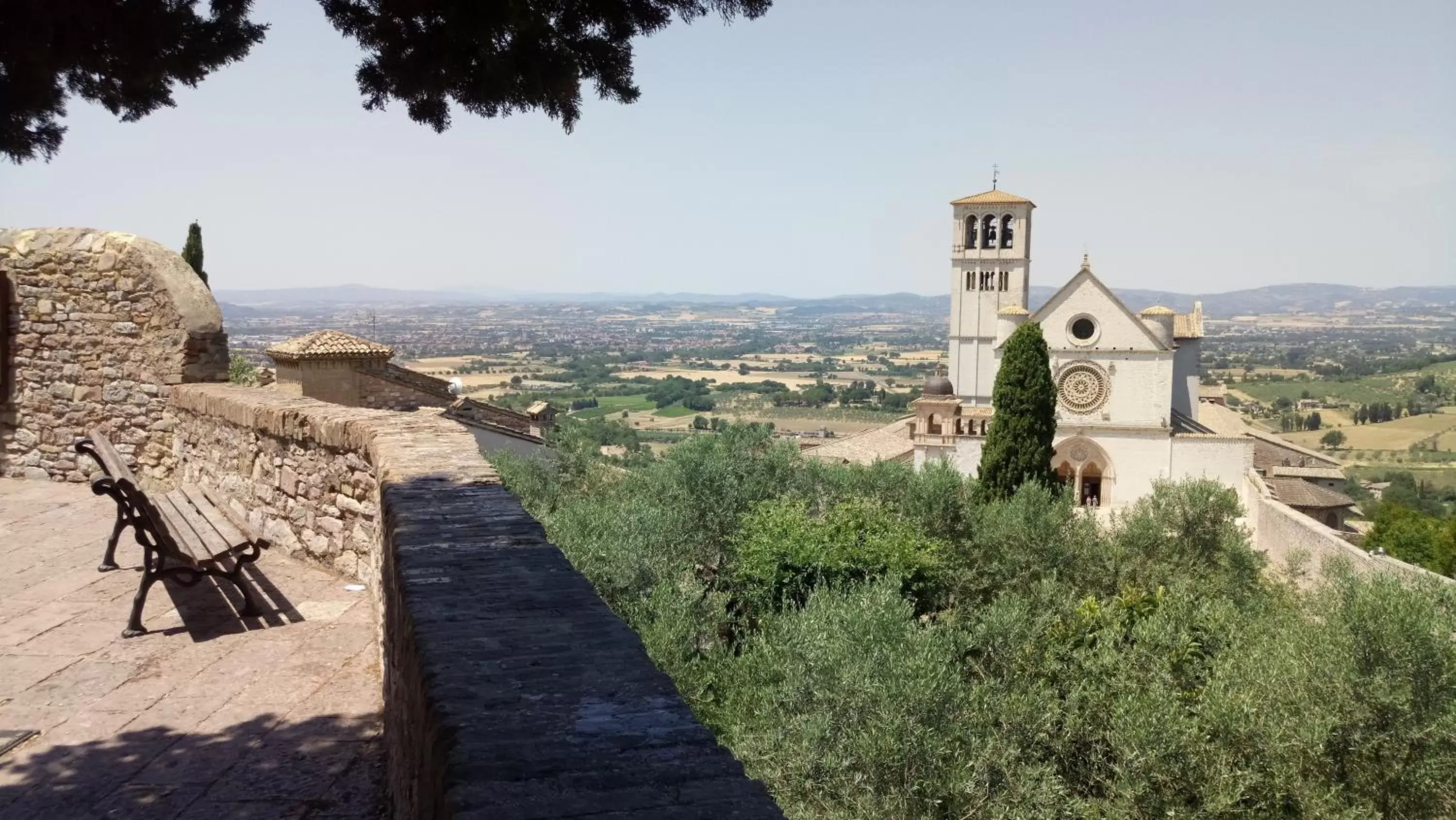 Area and facilities in Hotel Fontebella