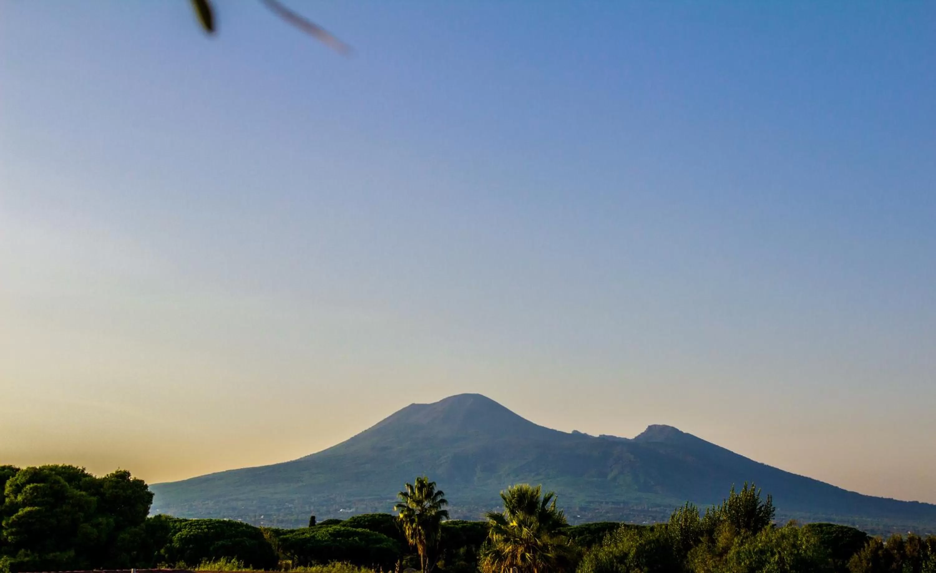 View (from property/room) in Hotel Forum