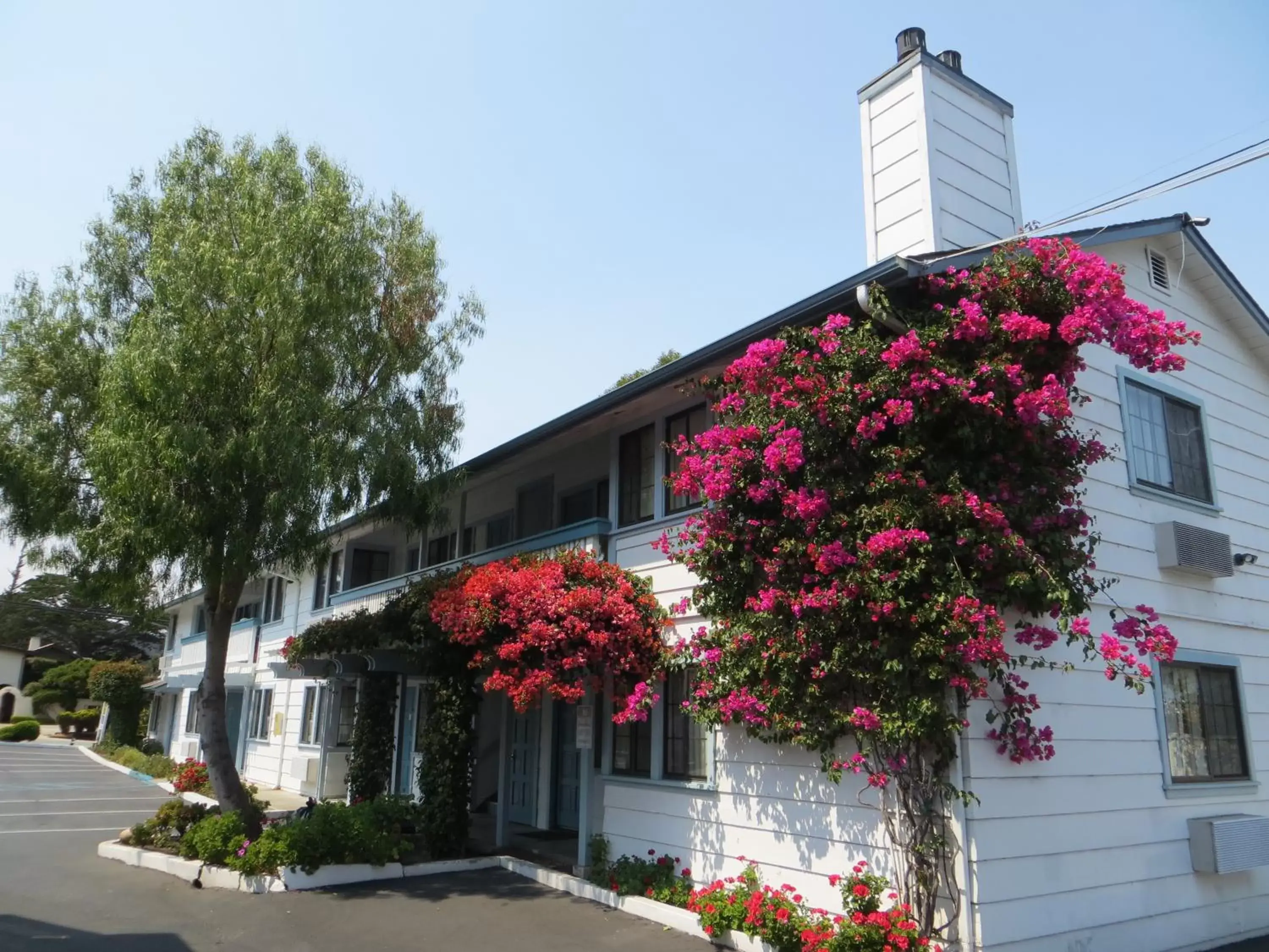 Property Building in Arbor Inn Monterey