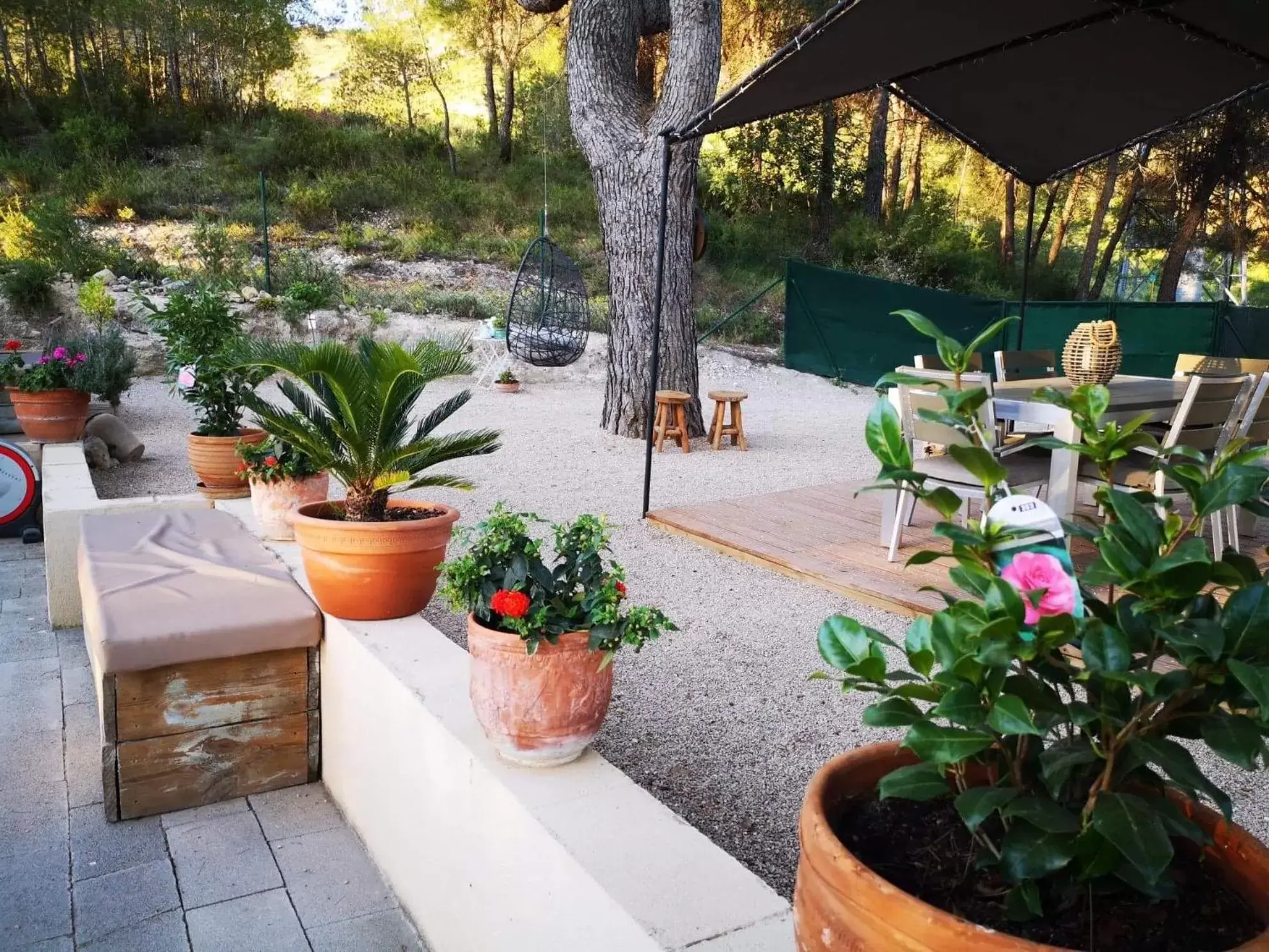 Patio in Casa Jetizo