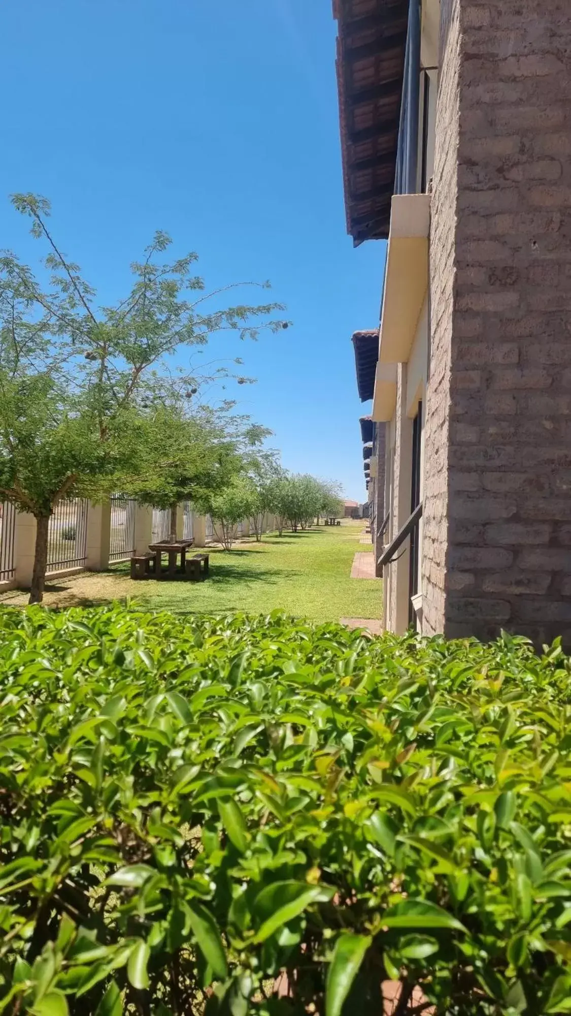 Garden view, Garden in Kathu Inn