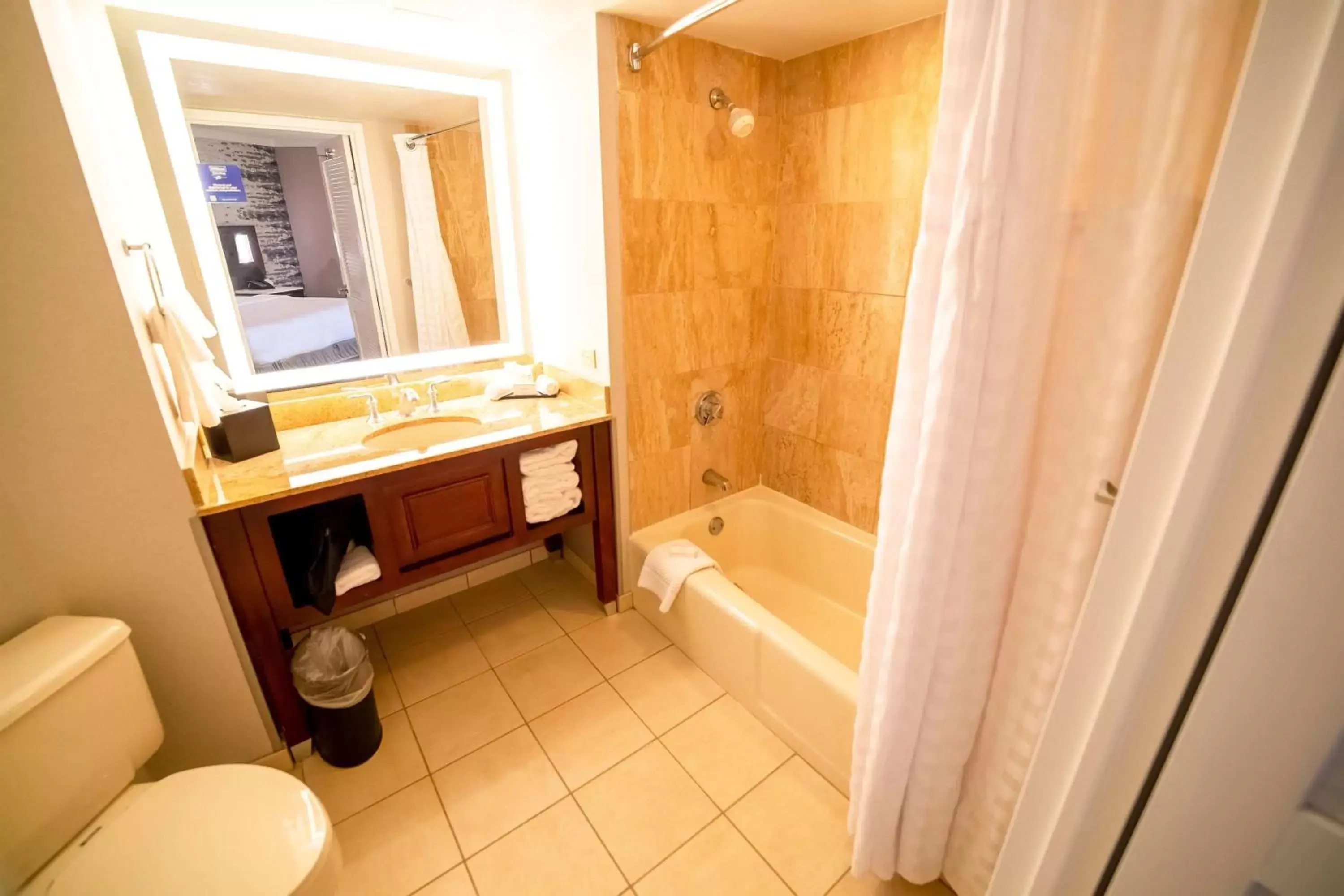 Bathroom in Embassy Suites by Hilton Kansas City Overland Park