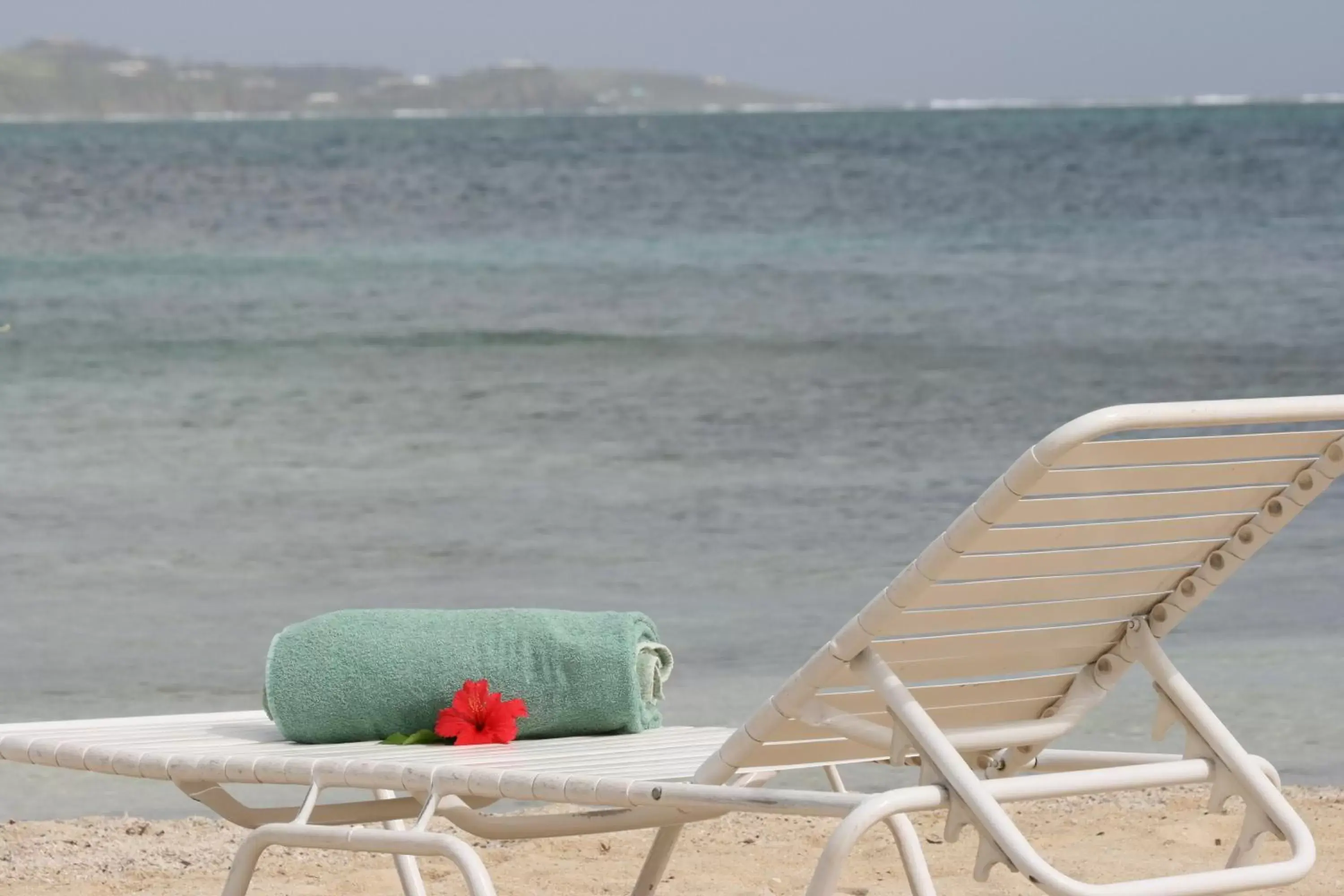 Beach in Hotel on the Cay