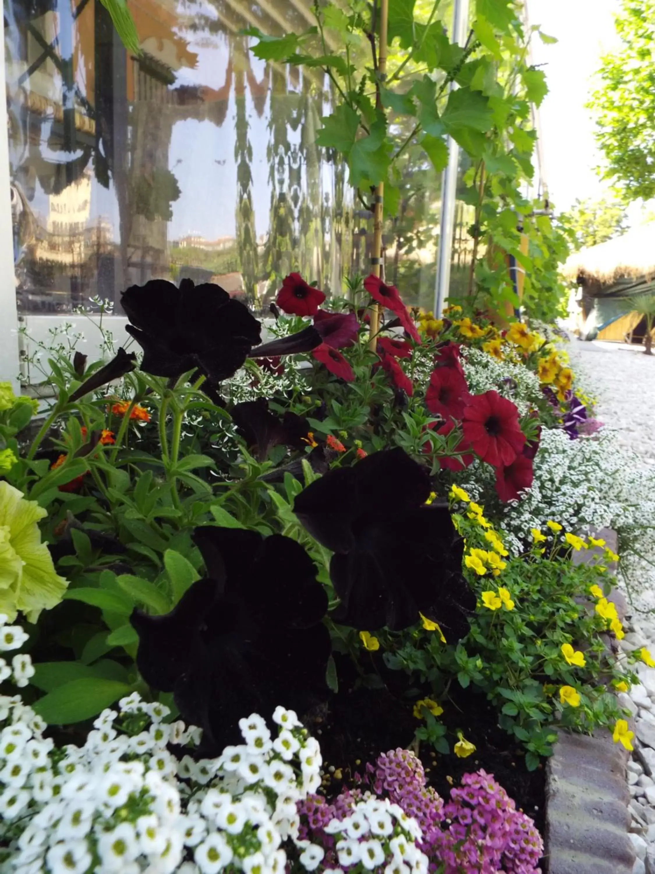 Garden in Ristorante Albergo Corona