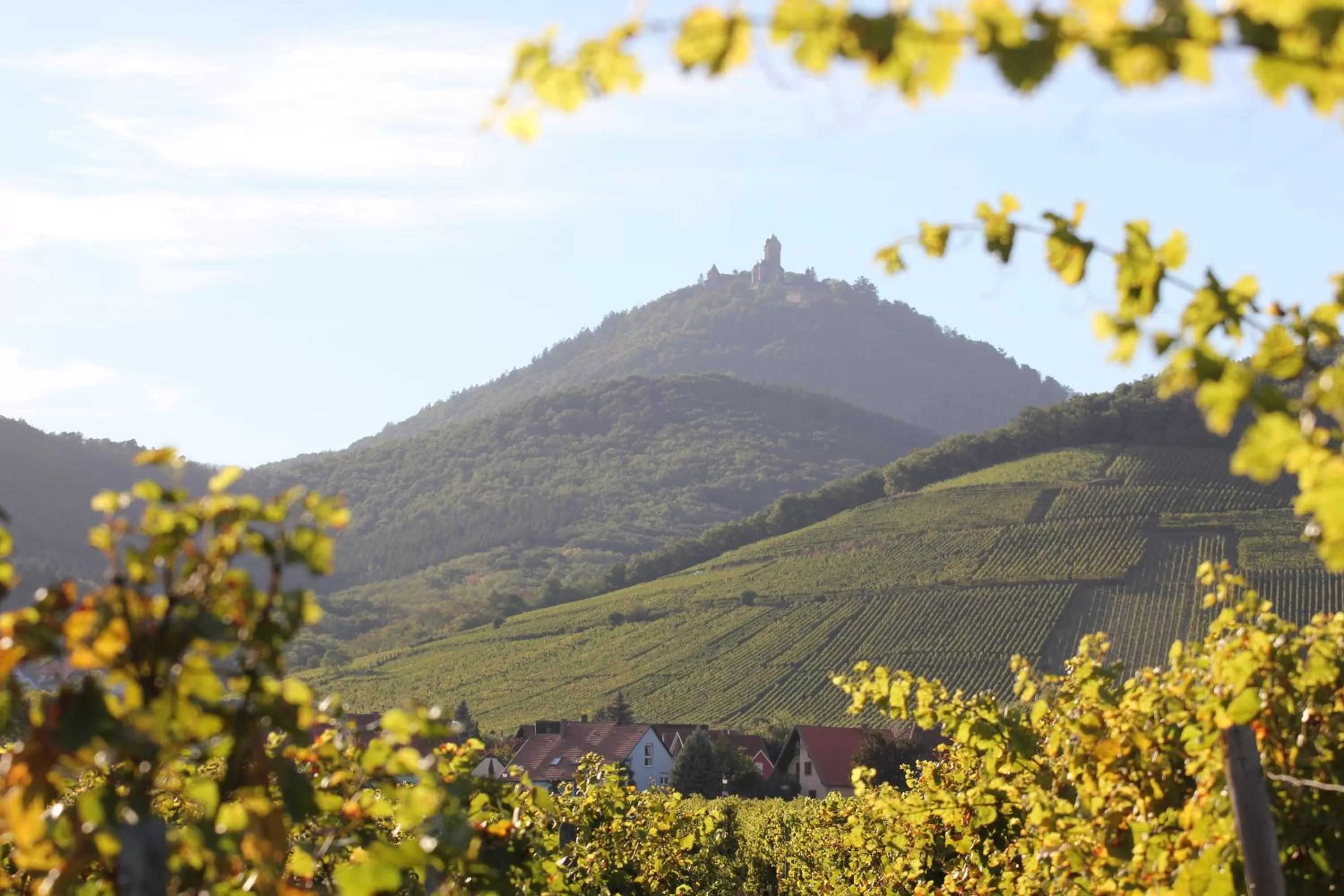 Nearby landmark in Ibis Budget Sélestat