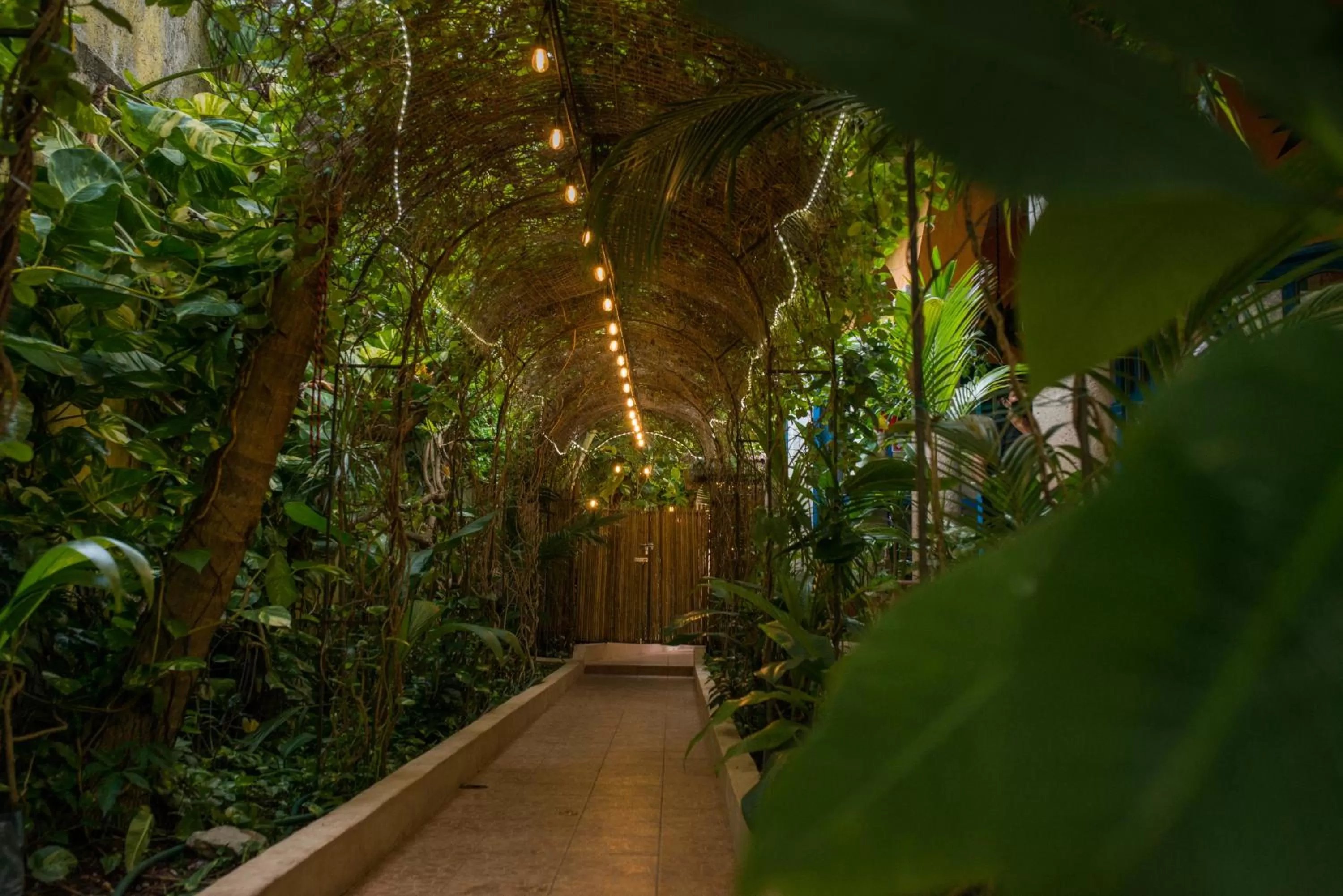 Garden in Hacienda Boutique B&B and Spa Solo Adultos