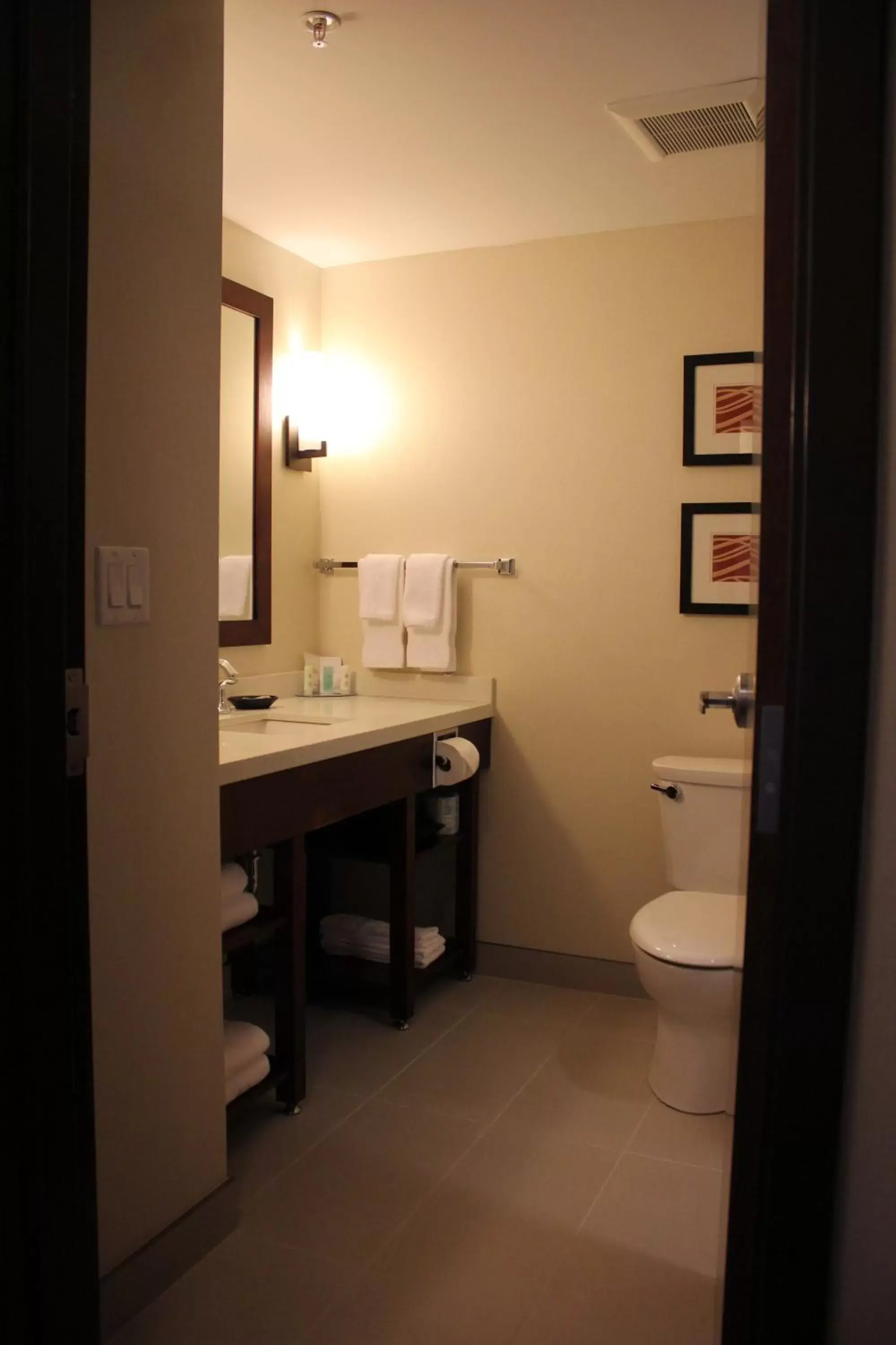 Shower, Bathroom in Comfort Inn & Suites Edmonton International Airport