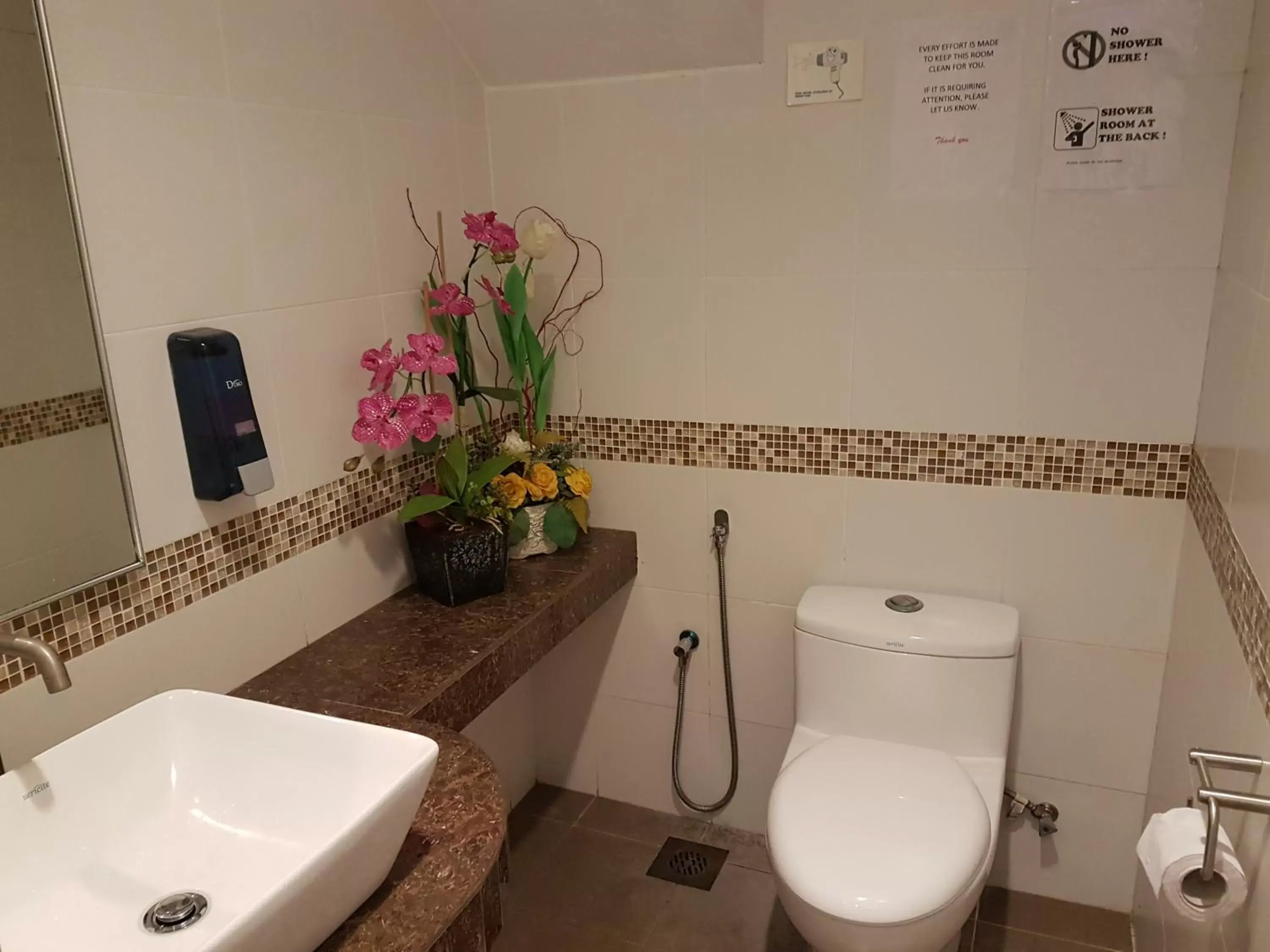 Bathroom in Hotel Asia