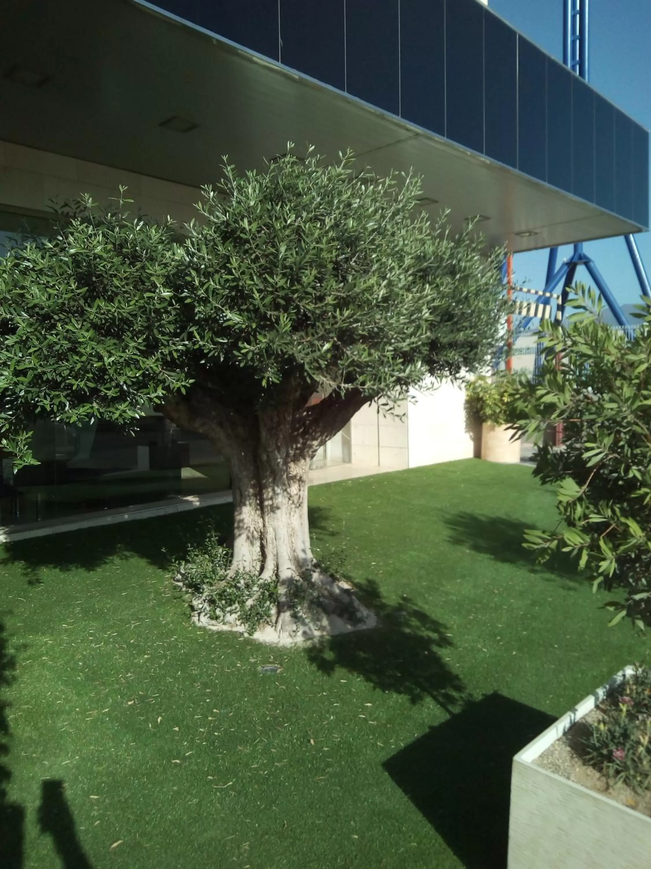 Day in Olimpia Hoteles