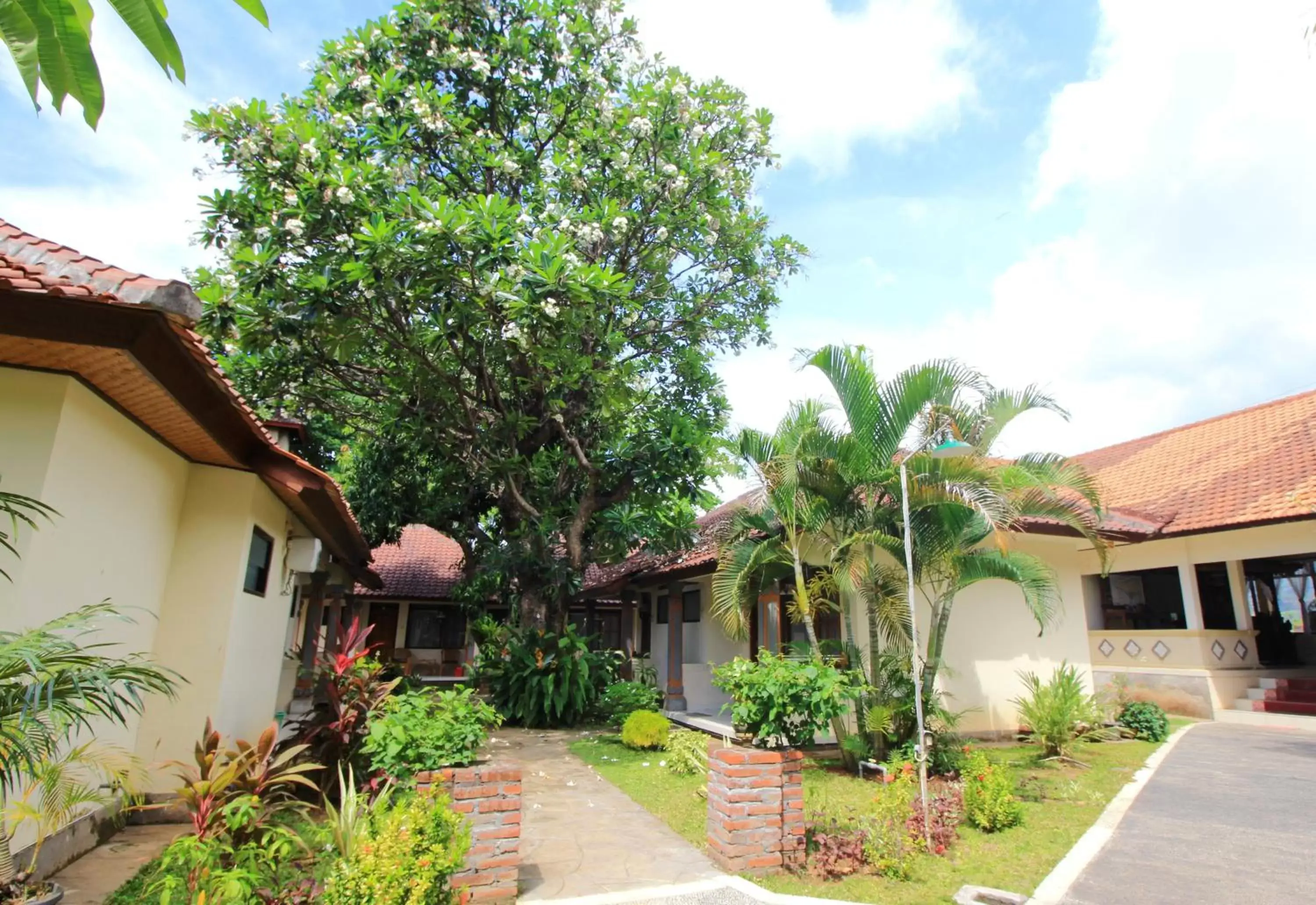 Garden, Property Building in Lovina Beach Hotel