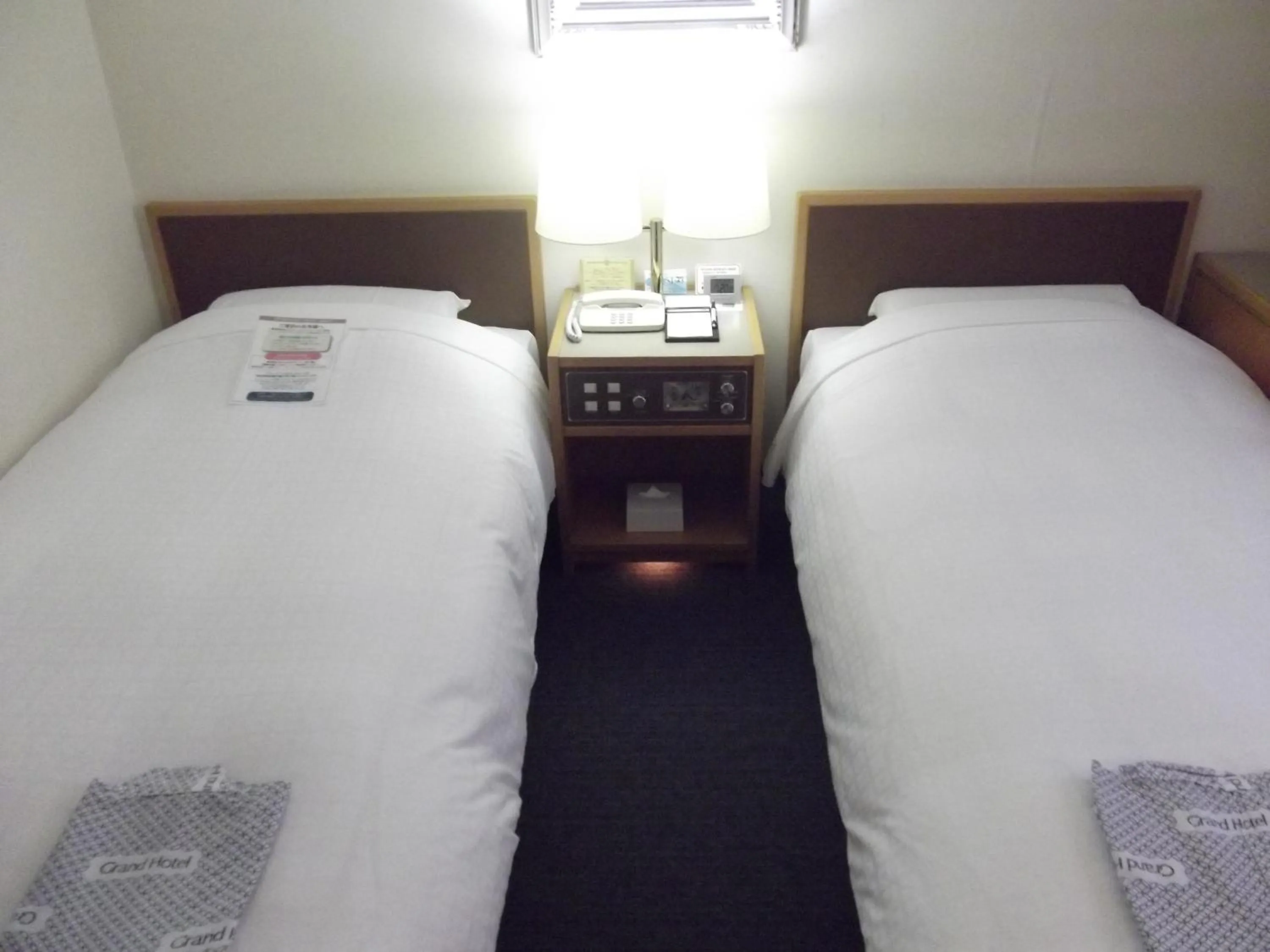 Photo of the whole room, Bed in Ichikawa Grand Hotel