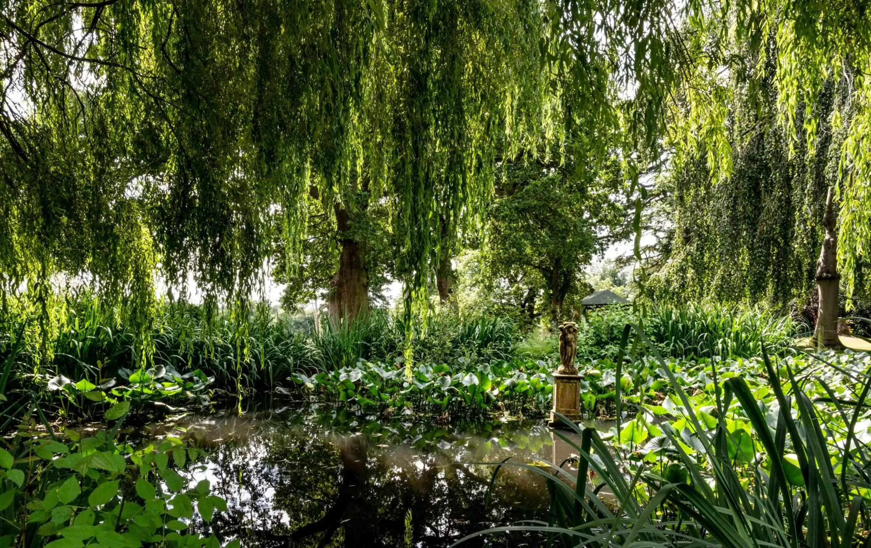 Lake view, Natural Landscape in Rookery Hall Hotel & Spa