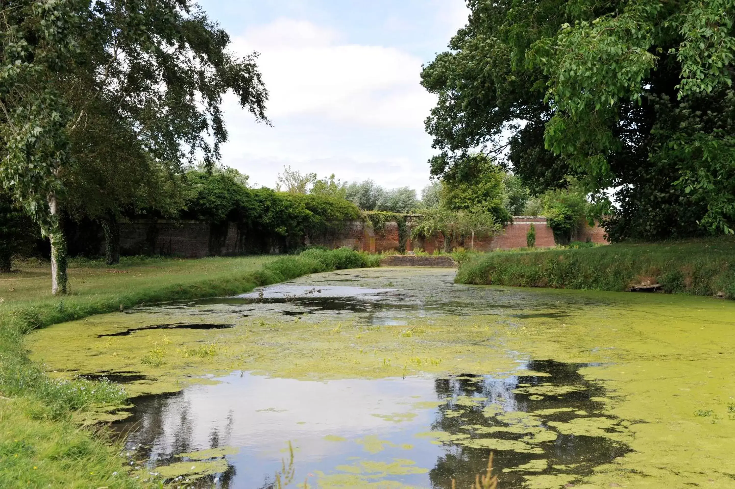 Garden in Best Western La Metairie