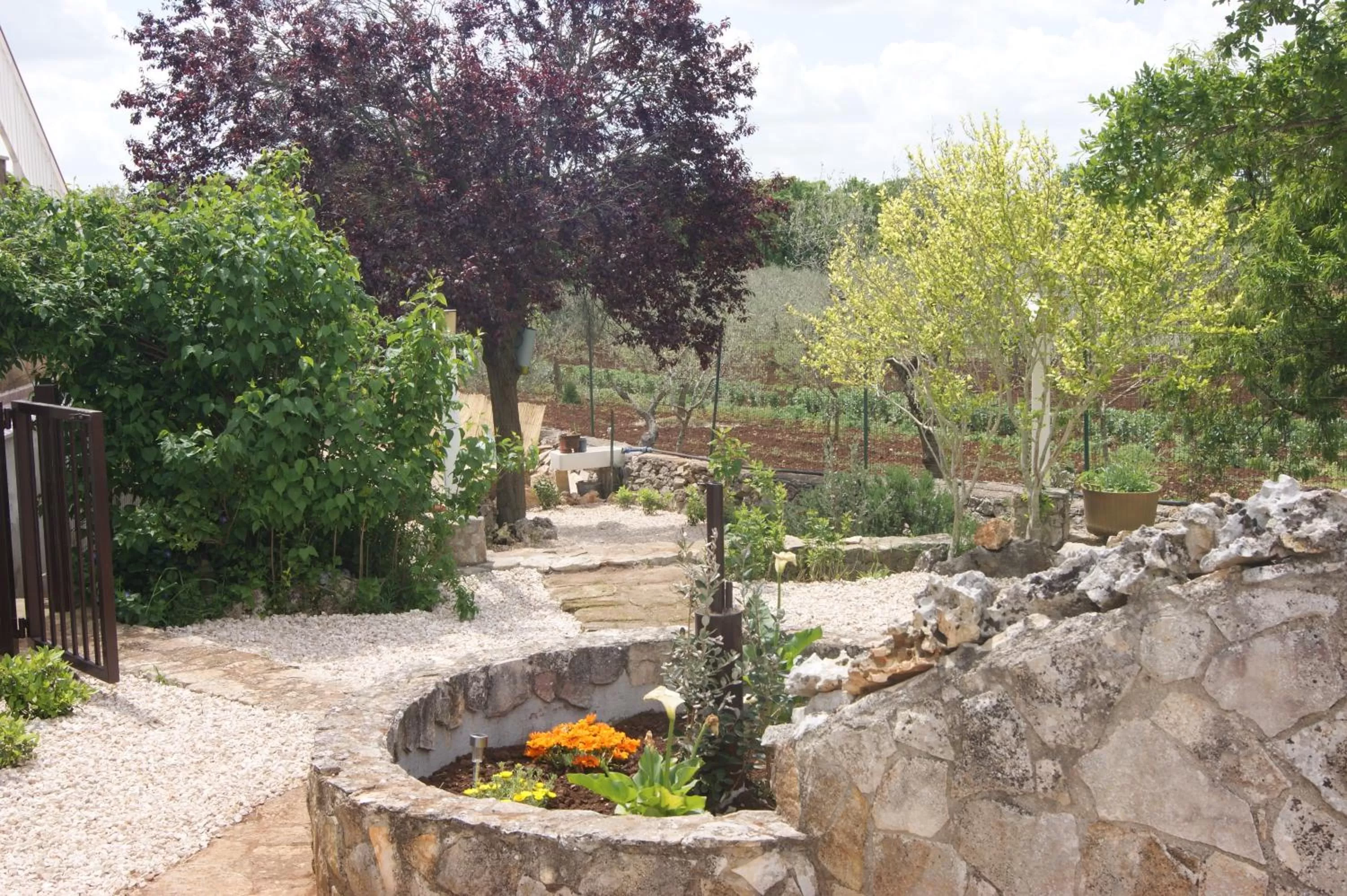 Garden in Arome B&B